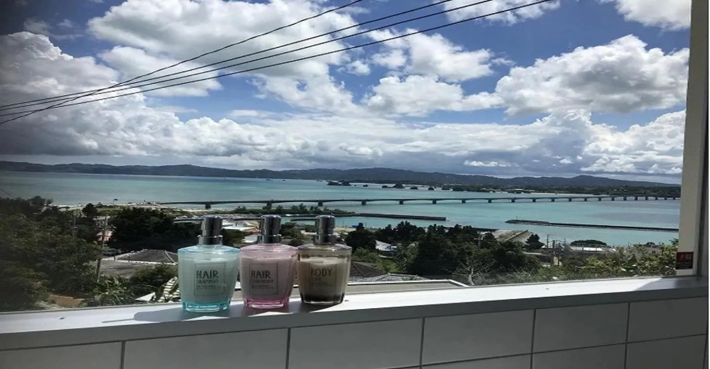 220 Kouri Nakijin-son - Hotel / Vacation STAY 8713