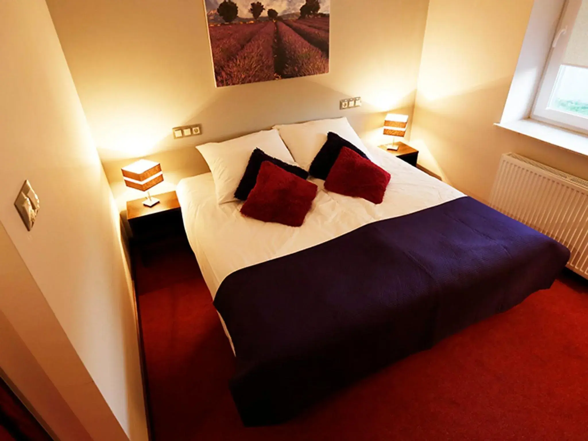 Double or Twin Room - single occupancy in Hotel Otoliński Double or Twin Room - single occupancy in Hotel Otoliński