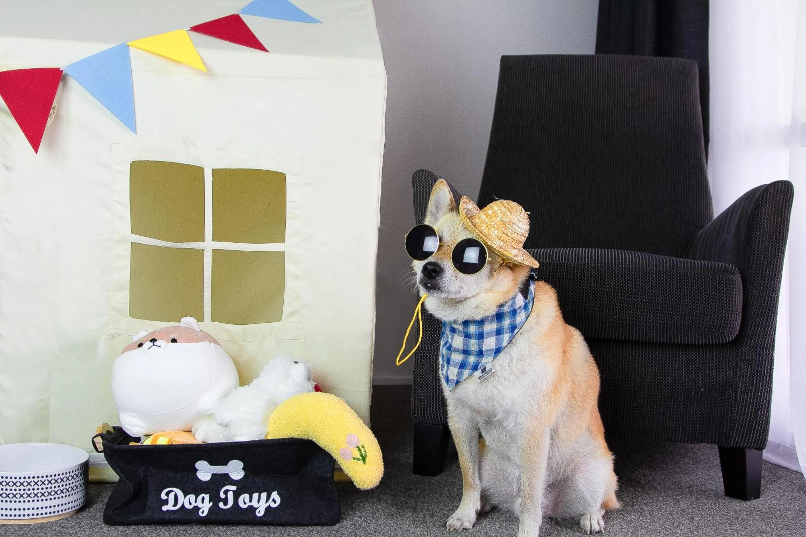 pet friendly in Arawa Park Hotel, Independent Collection by EVT