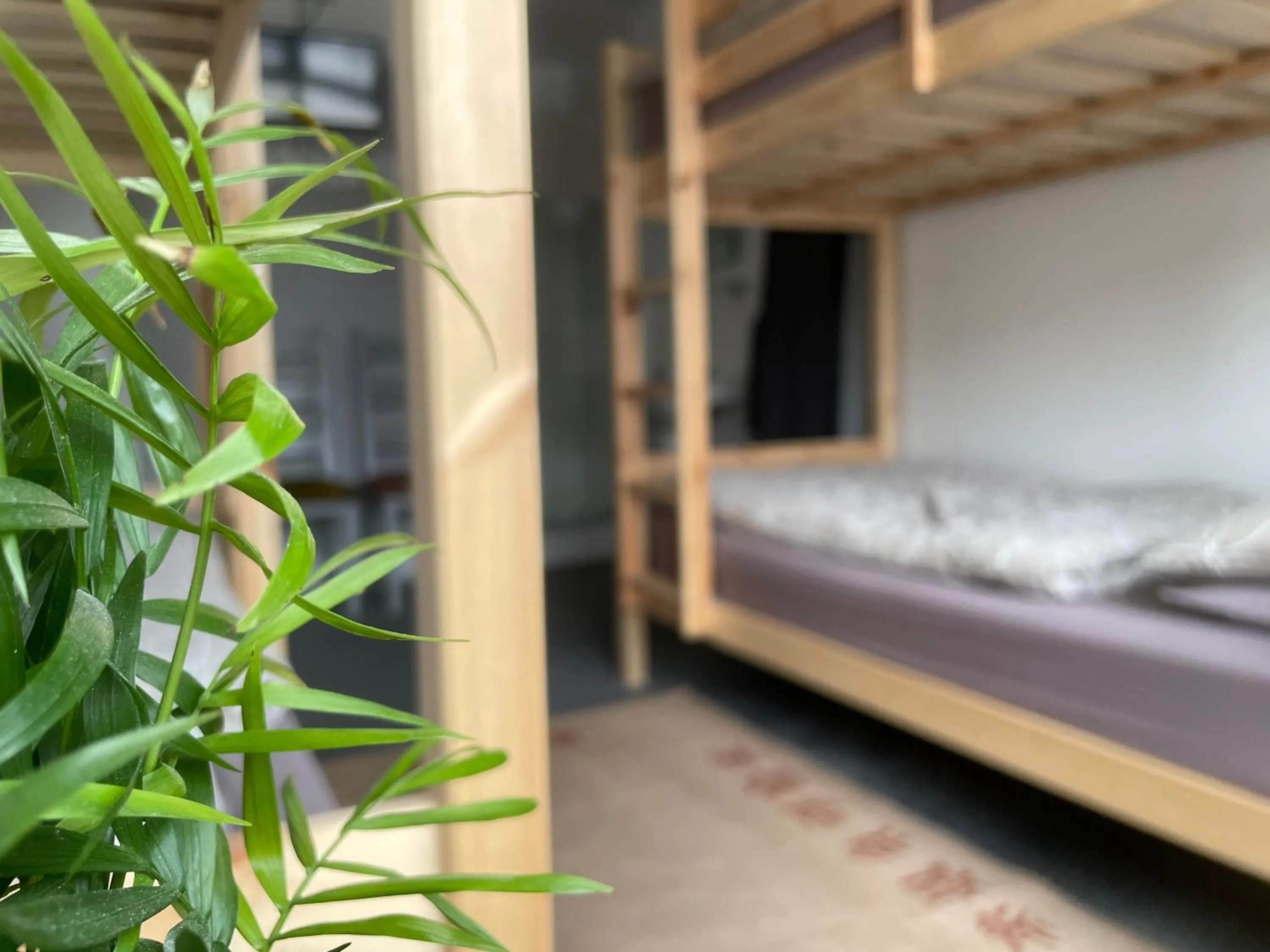 Bed in Breakers Guest House