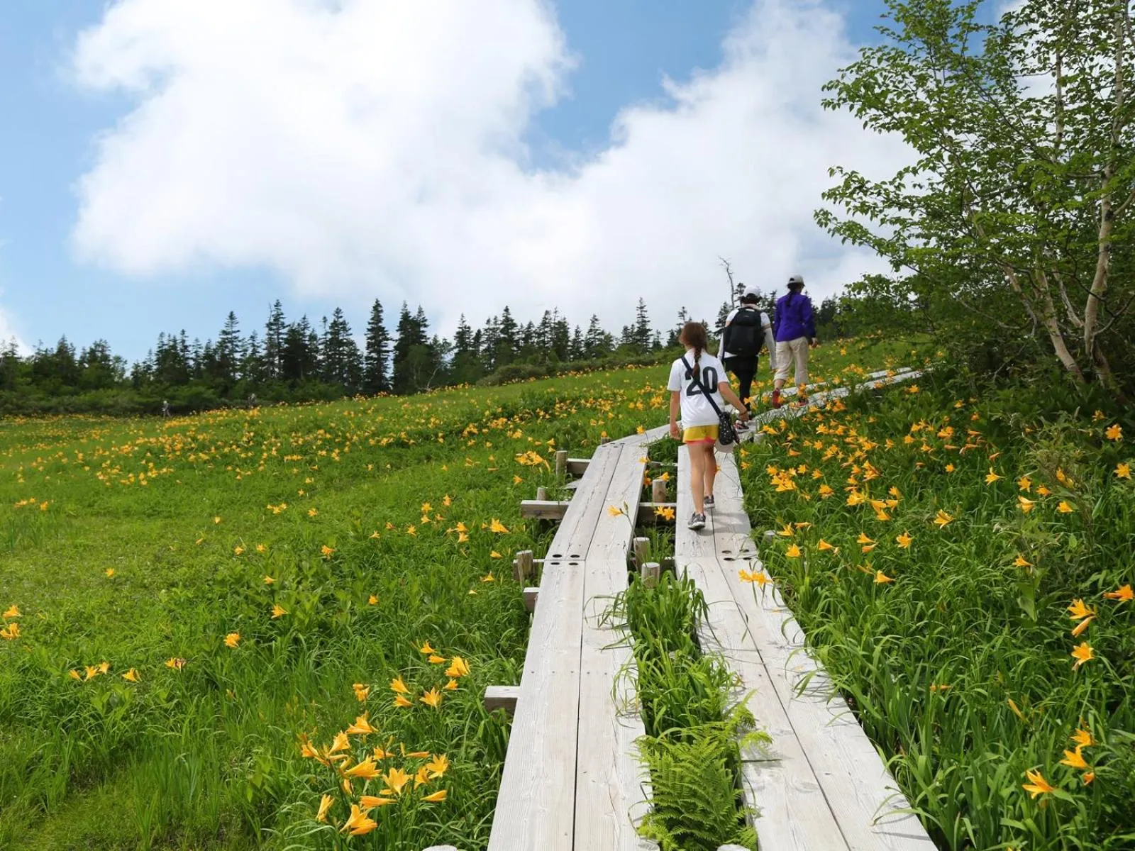 Spring in Apprising hotels GranJam Tsugaike