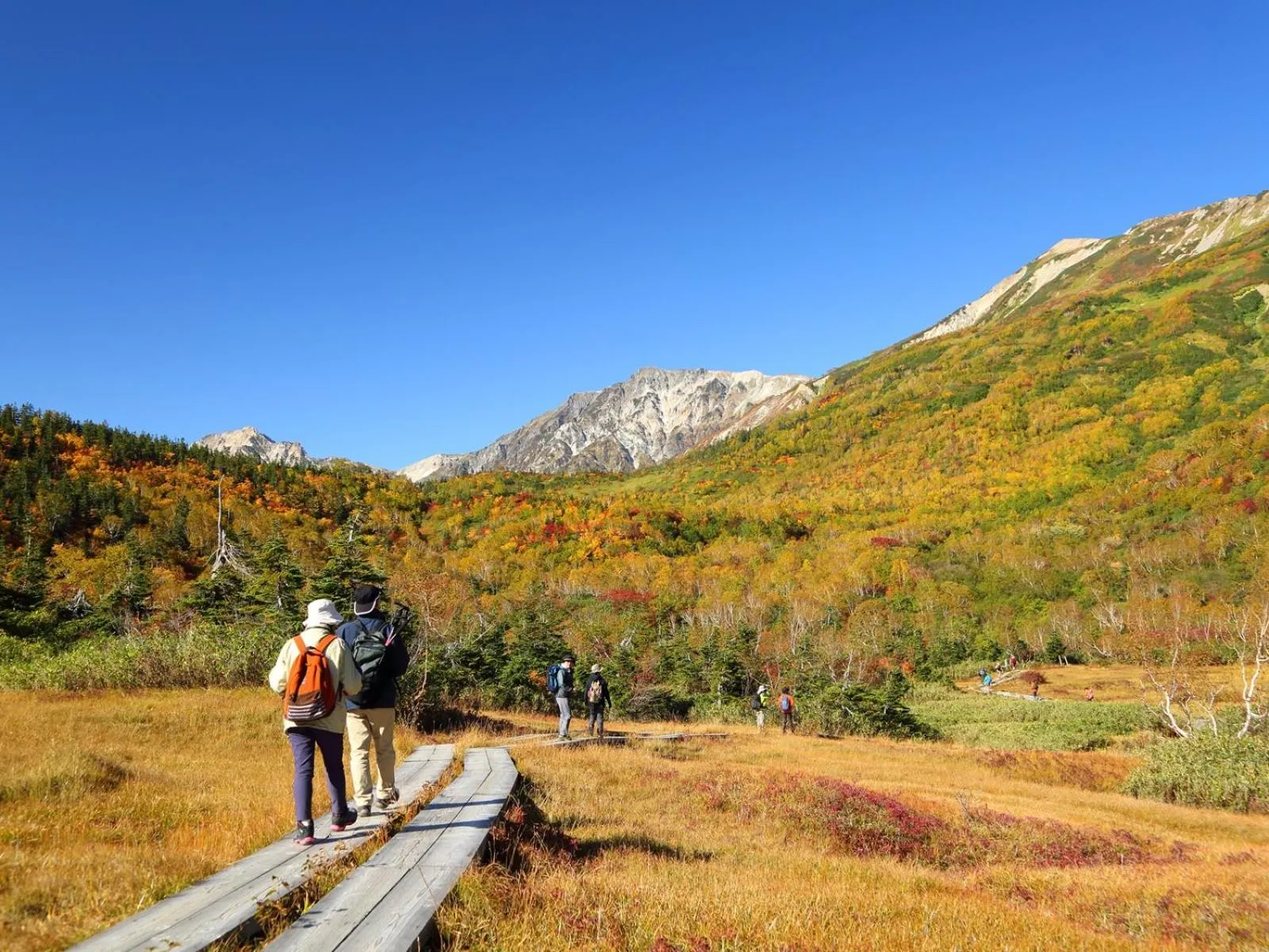 Nearby landmark in Apprising hotels GranJam Tsugaike