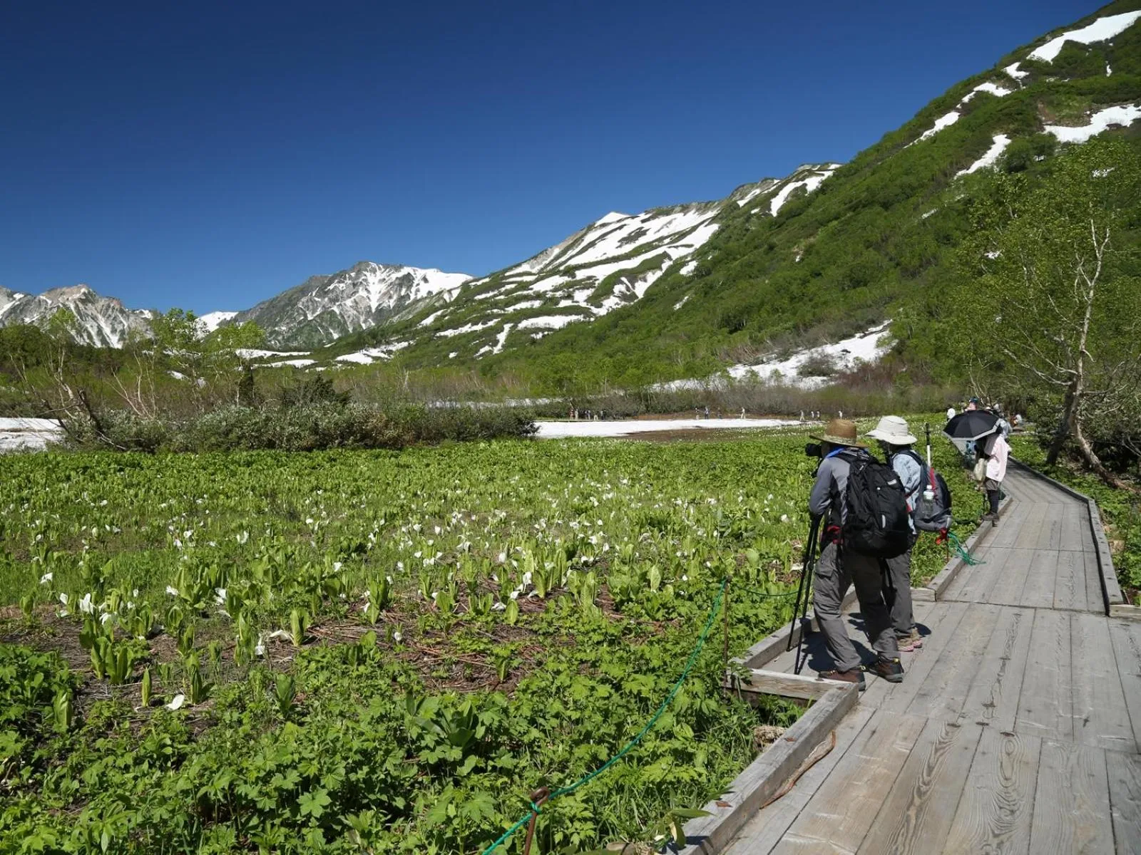 Off site in Apprising hotels GranJam Tsugaike