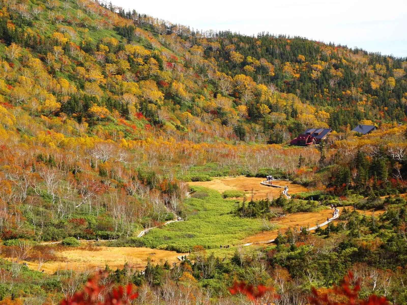 Off site in Apprising hotels GranJam Tsugaike