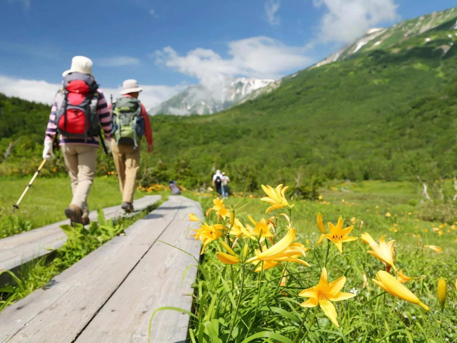 Spring in Apprising hotels GranJam Tsugaike