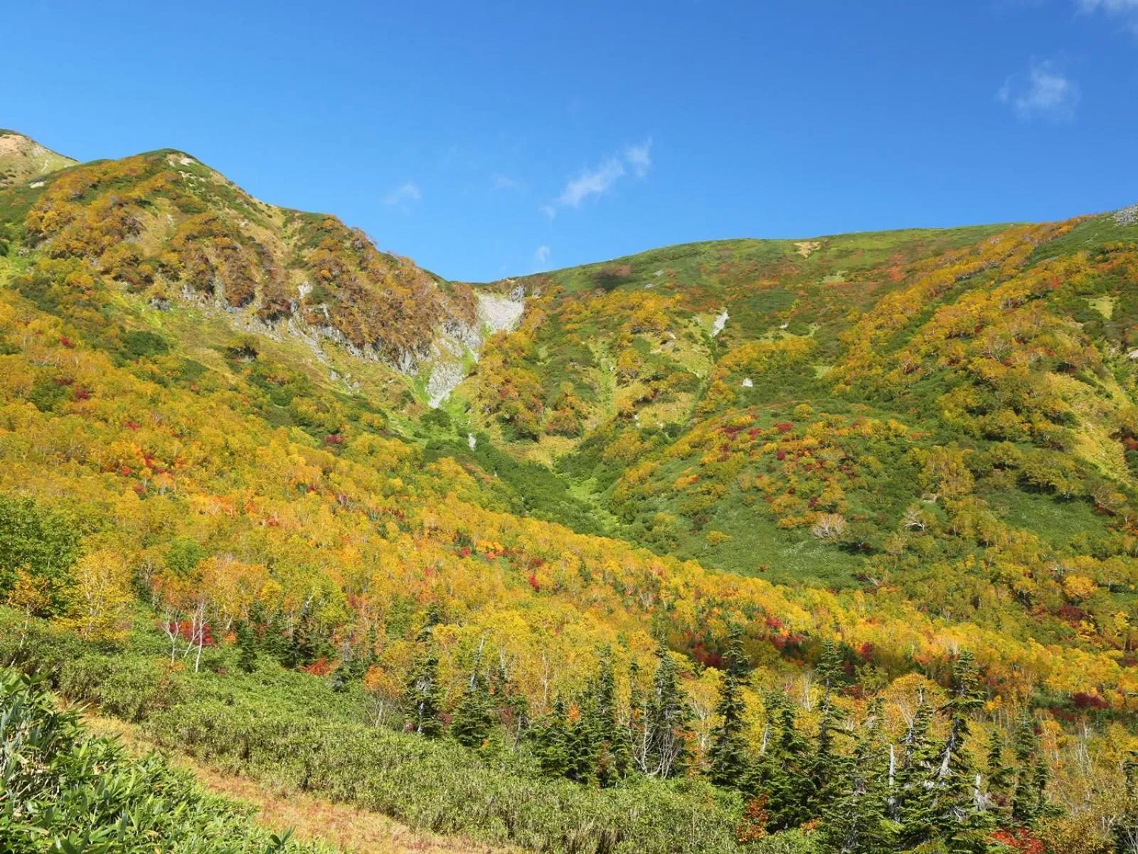 Off site in Apprising hotels GranJam Tsugaike