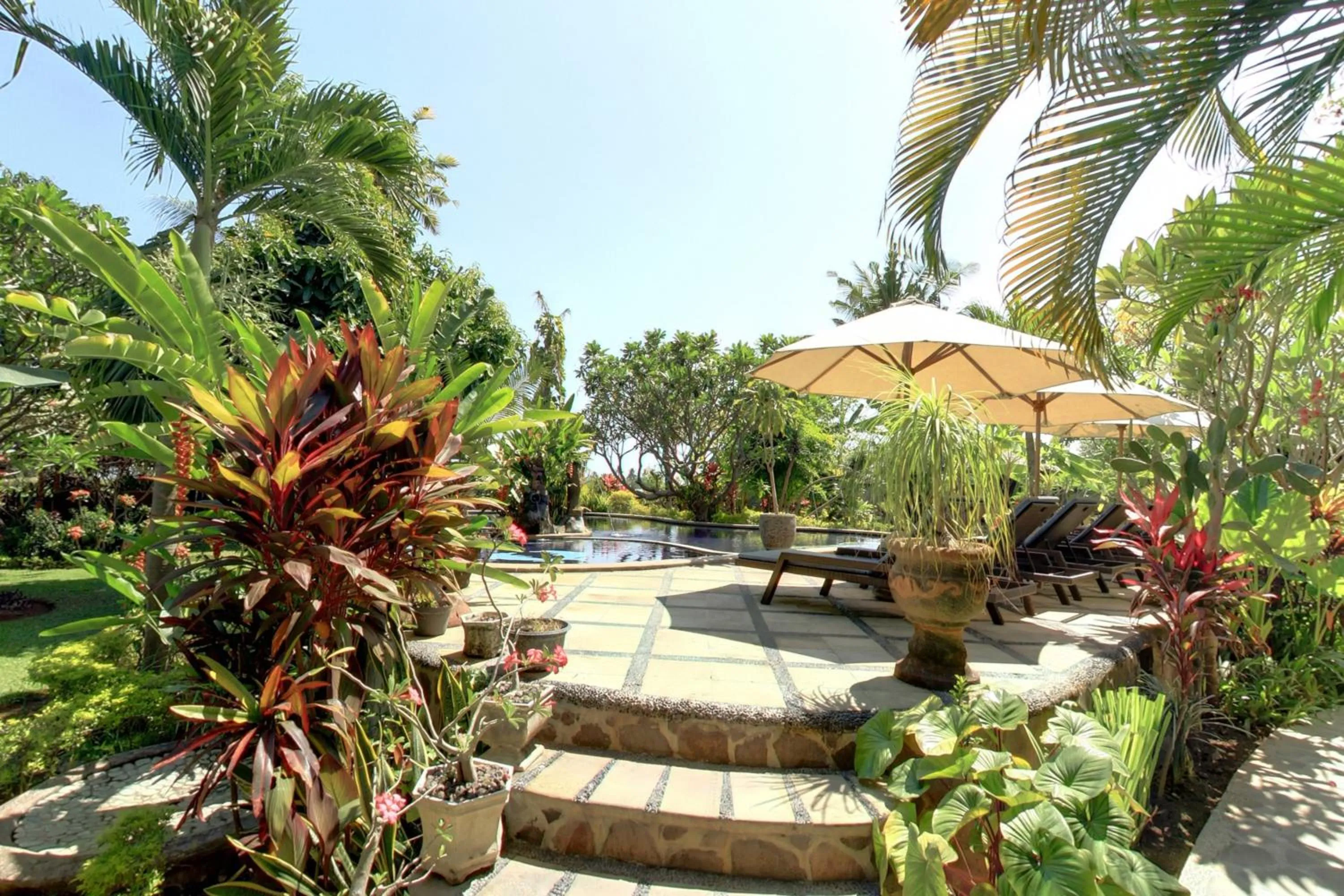 Balcony/Terrace in Sawah Lovina