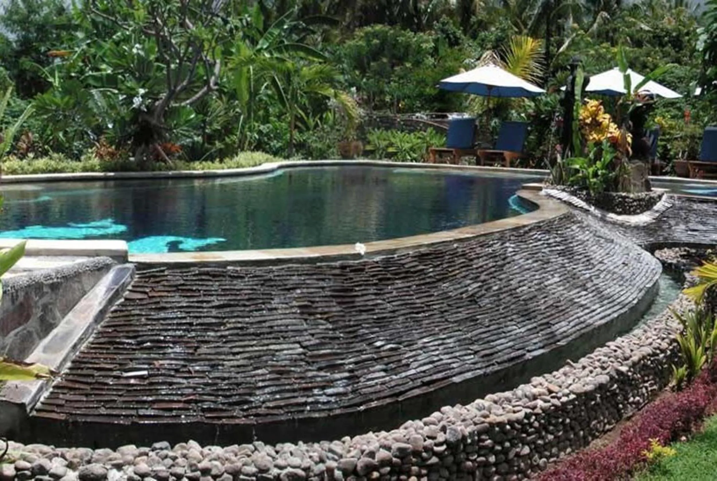 Swimming pool in Sawah Lovina