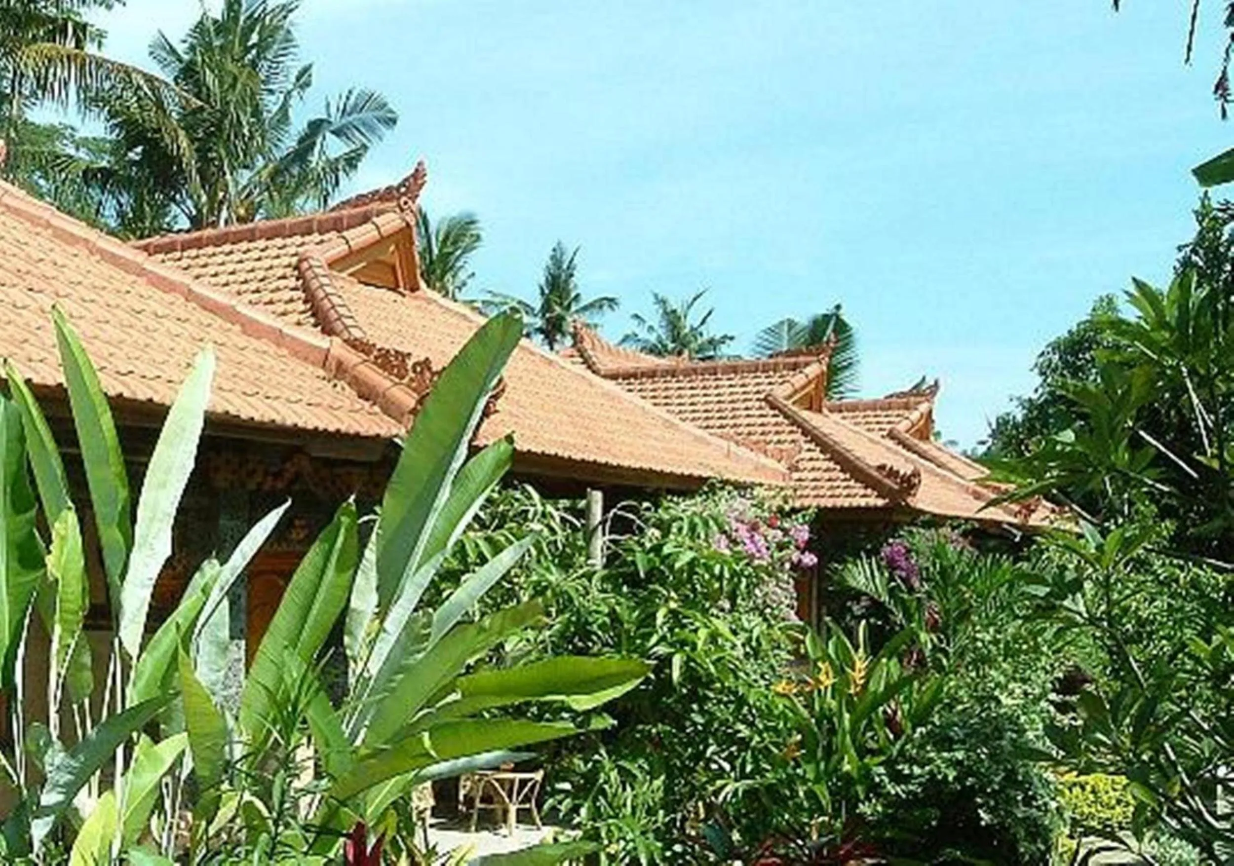 Property building in Sawah Lovina