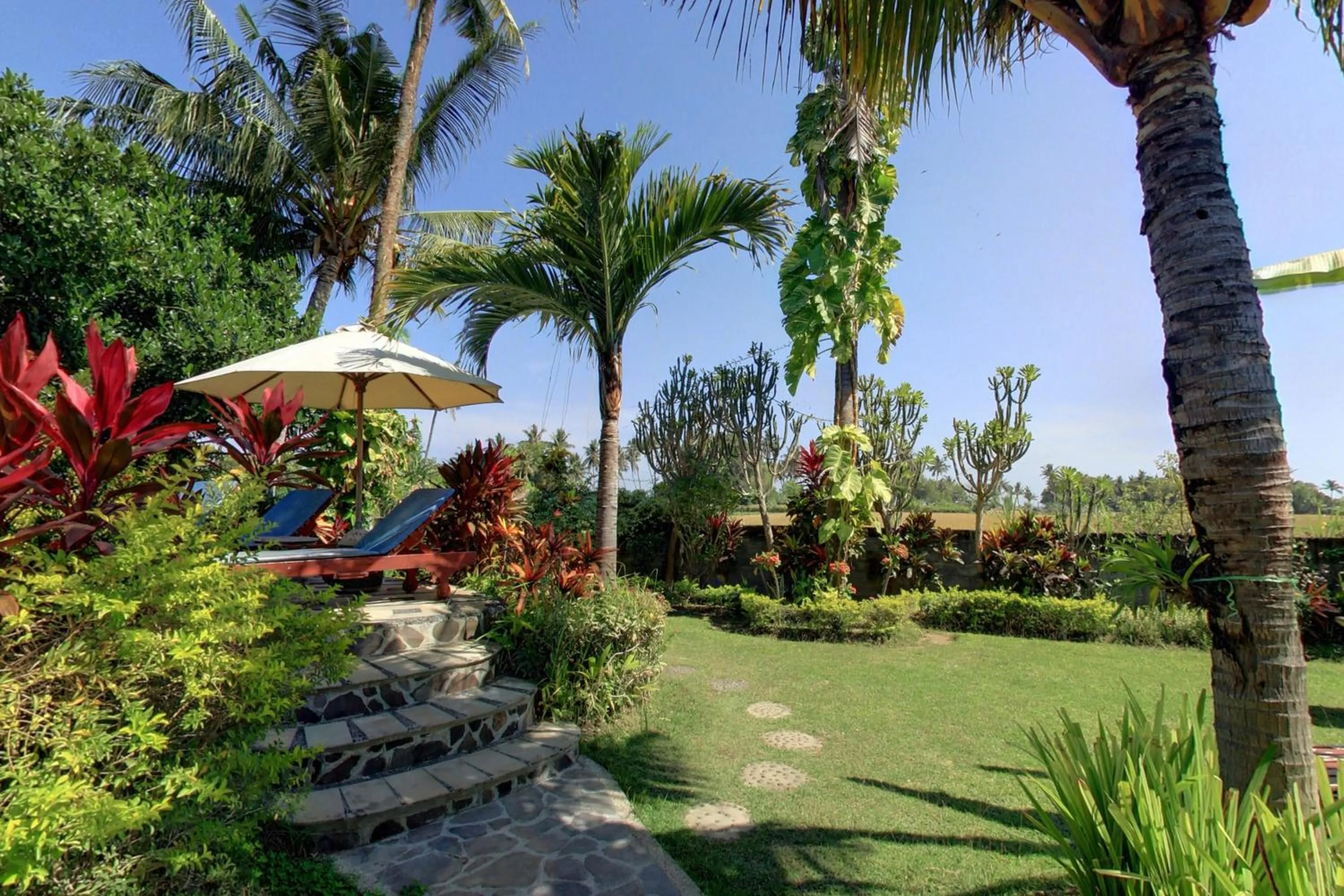 Garden in Sawah Lovina
