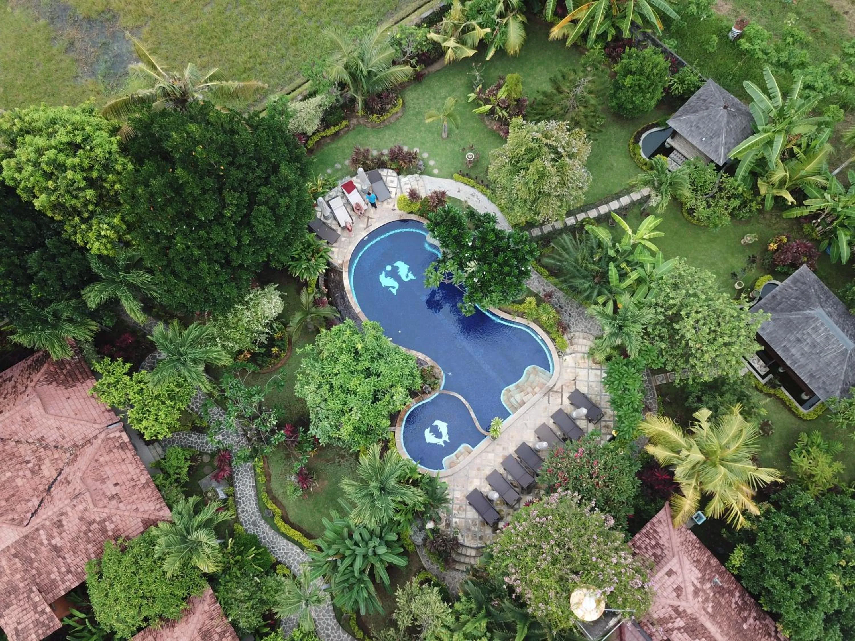 Patio in Sawah Lovina