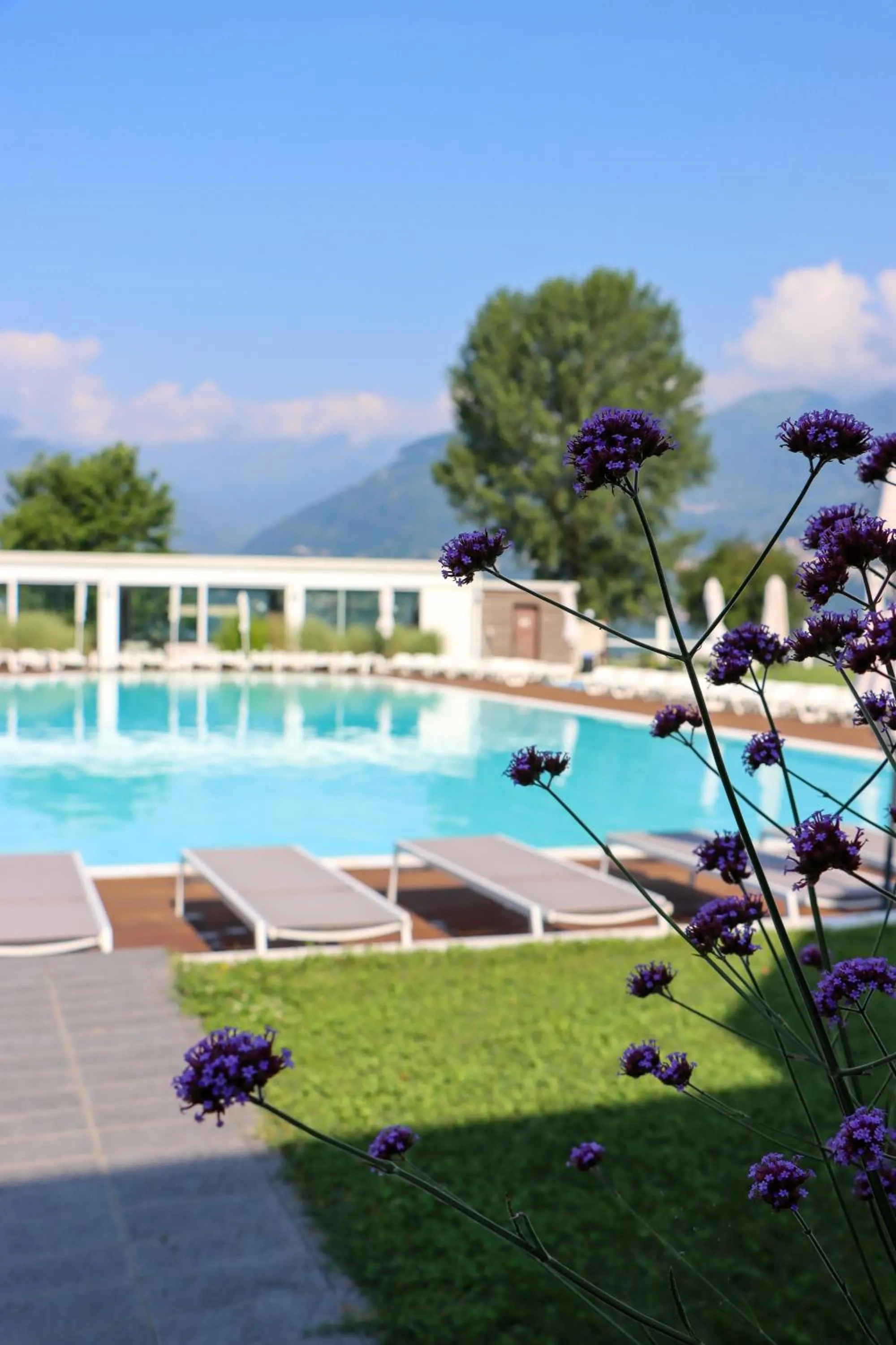 Garden view in Seven Park Hotel Lake Como - Adults Only