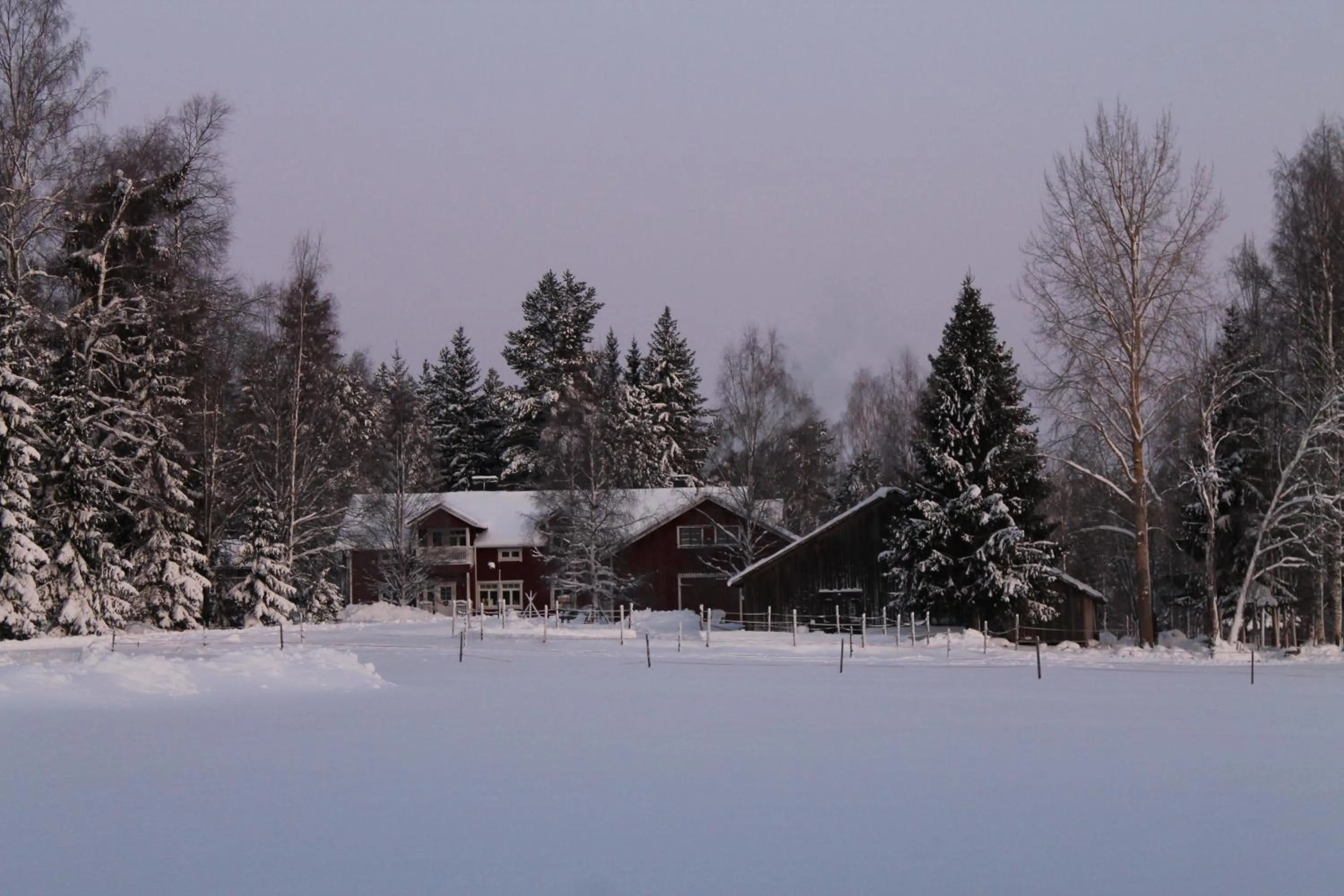 Area and facilities in Purola Farm Guesthouse
