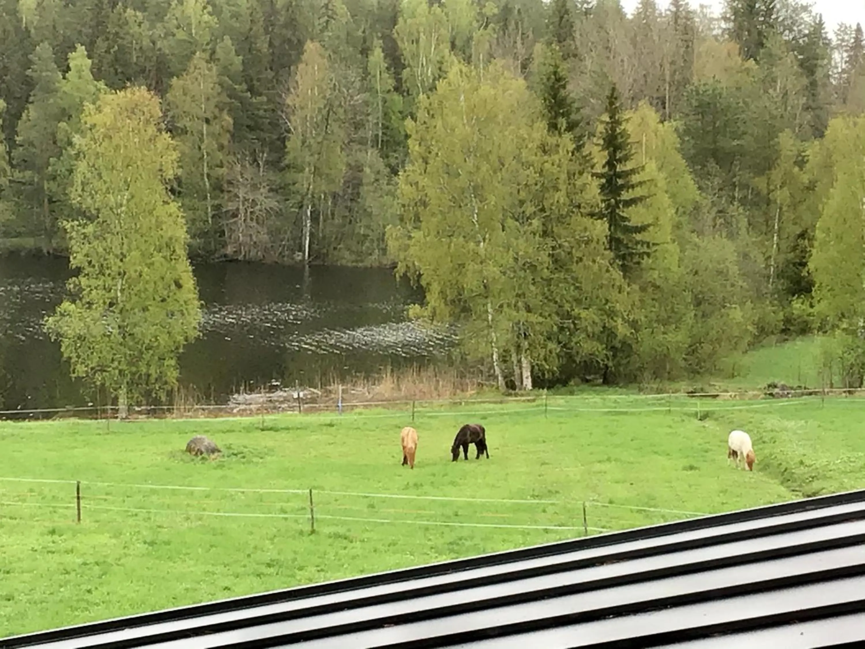 View (from property/room) in Purola Farm Guesthouse