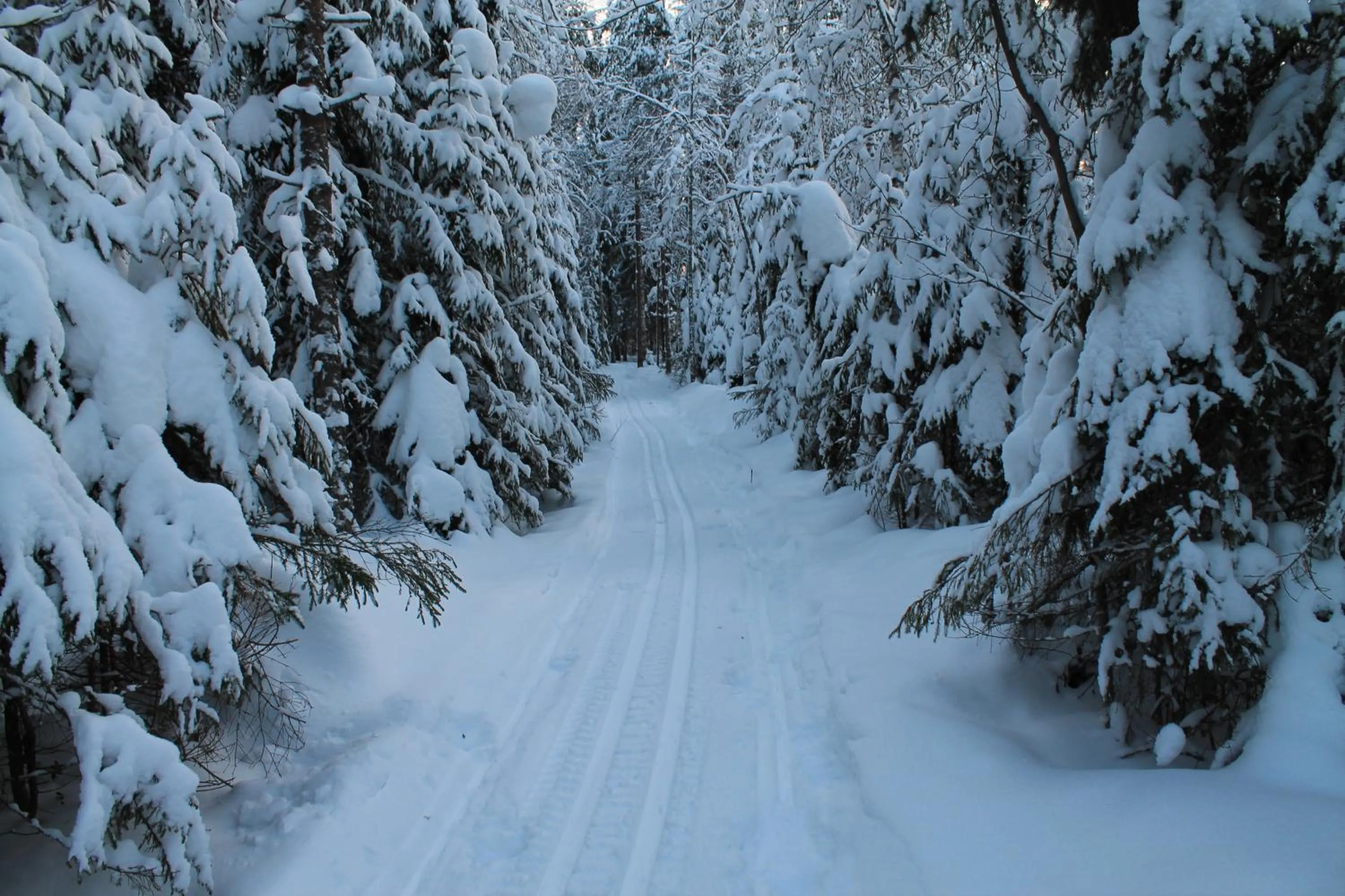 Skiing in Purola Farm Guesthouse