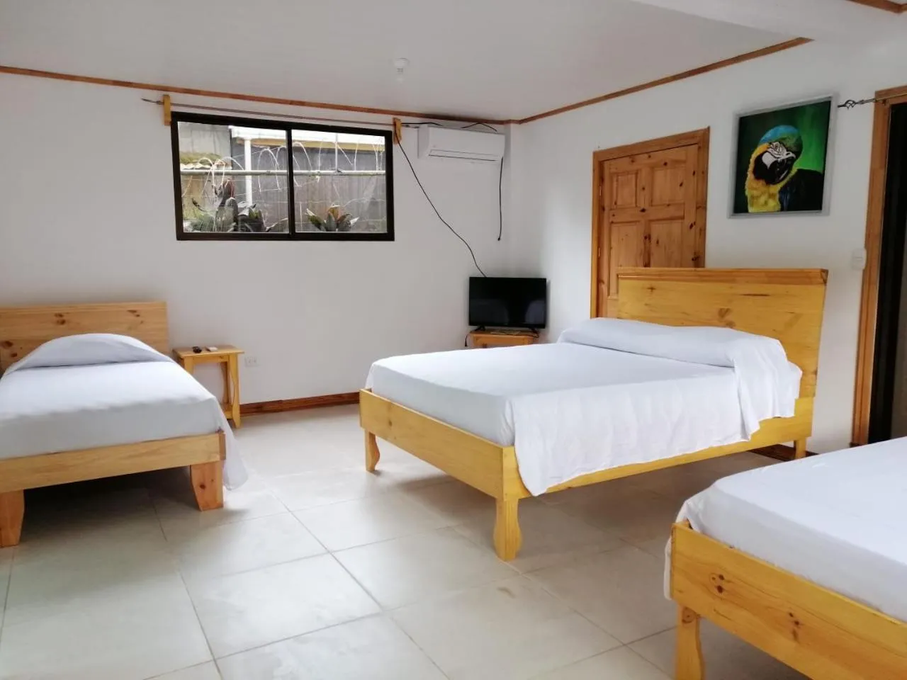 Quadruple Room with Kitchen and Private Bathroom in Hotel El Congo