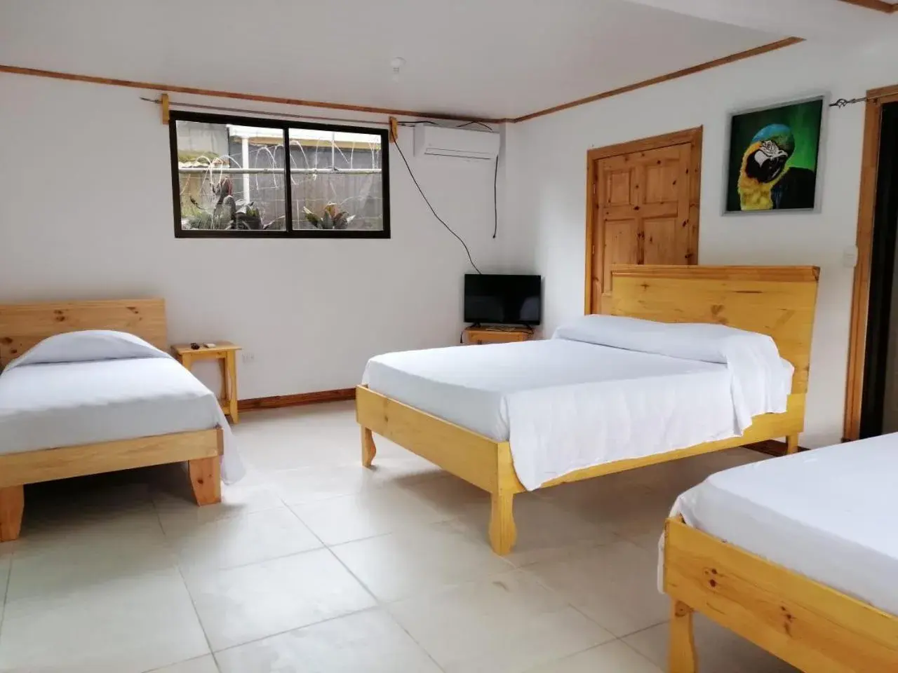 Quadruple Room with Kitchen and Private Bathroom in Hotel El Congo Quadruple Room with Kitchen and Private Bathroom in Hotel El Congo