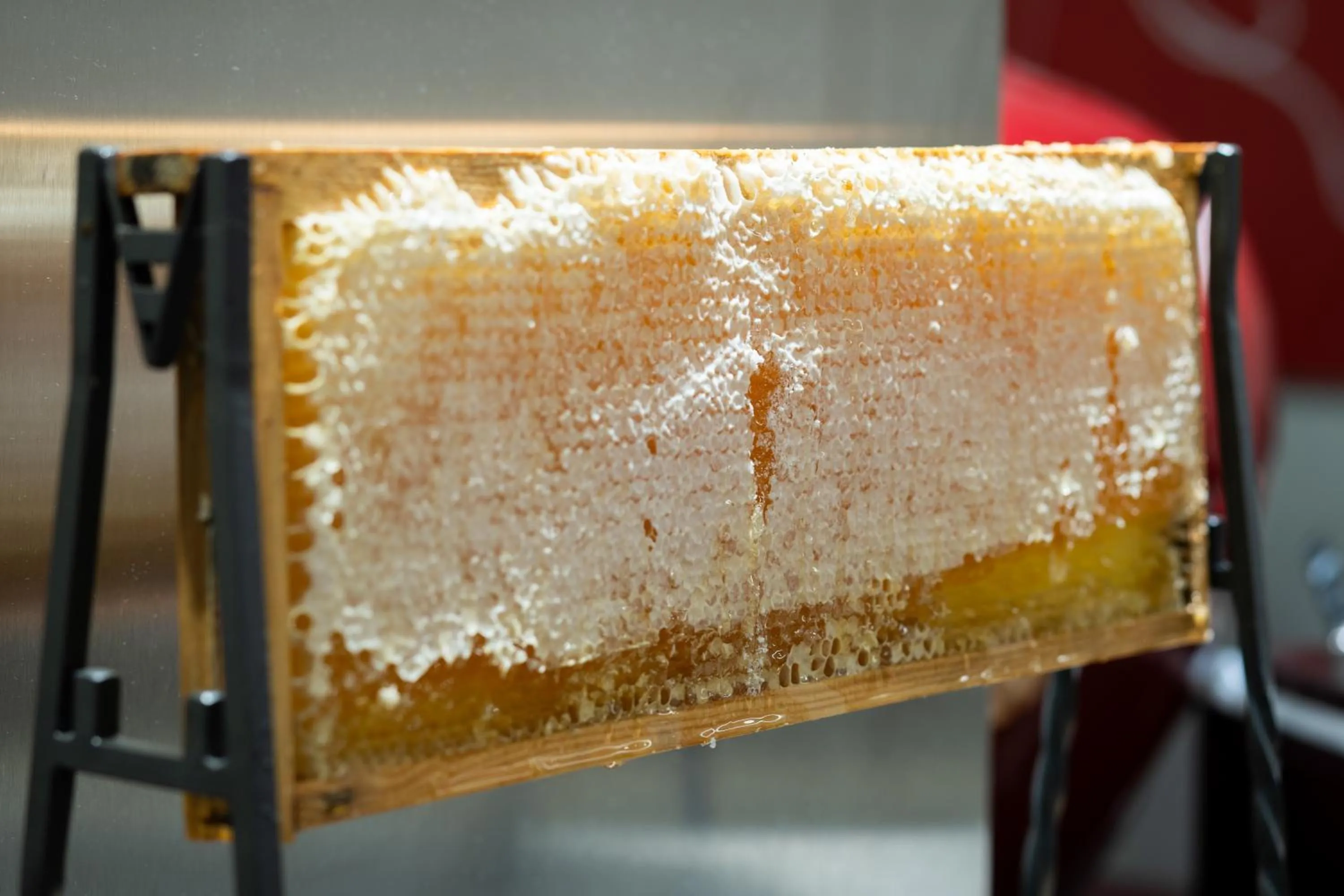 Buffet breakfast in Hotel Ciutadella Barcelona