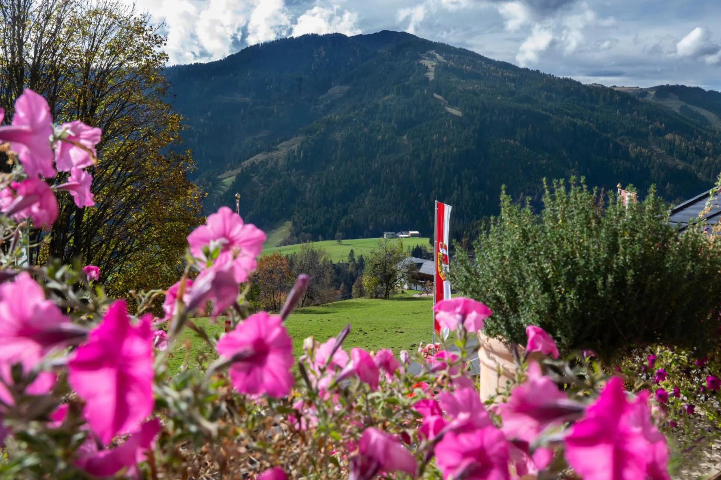 View (from property/room) in Sonnhof am Hochkönig