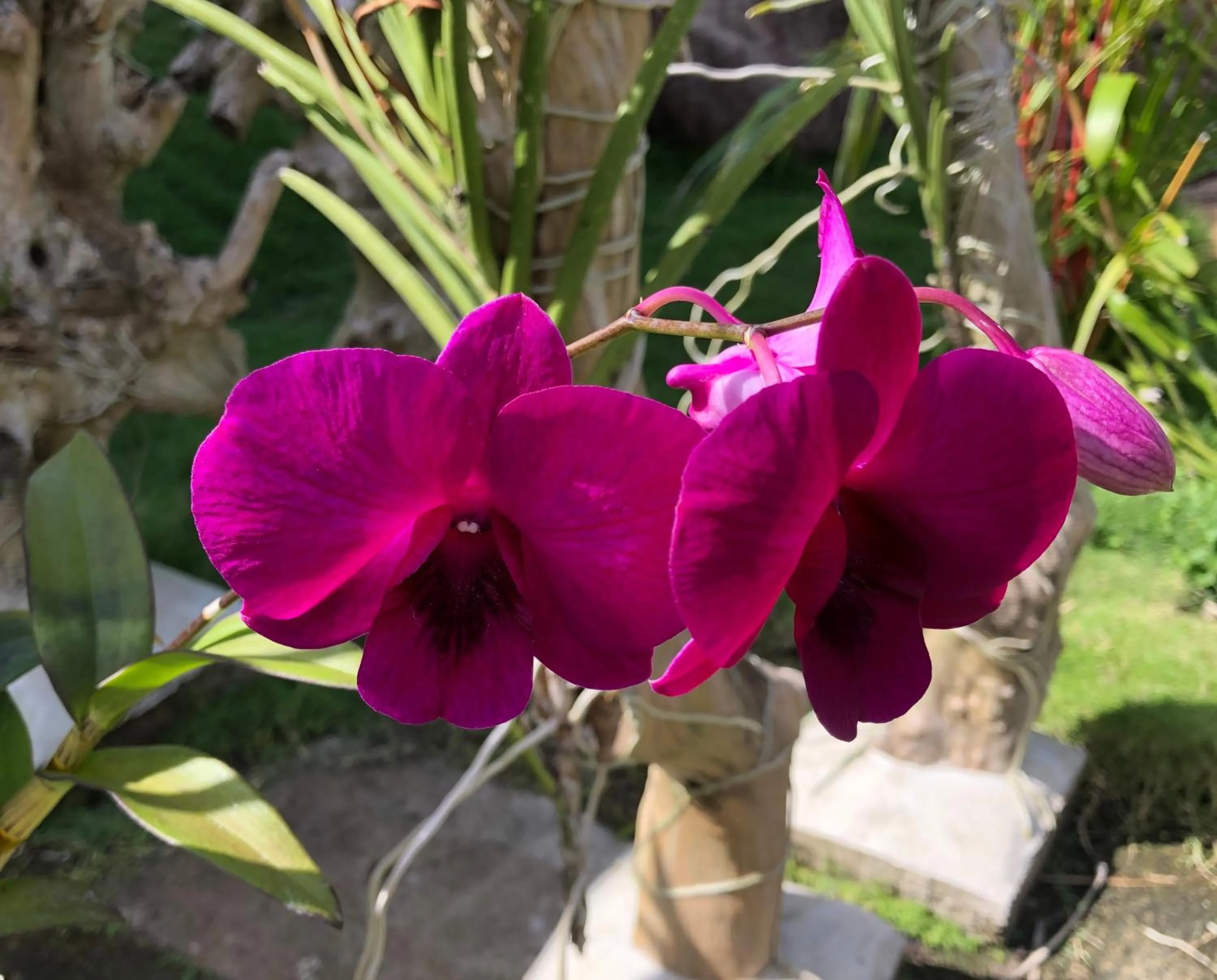 Day in Tongatok Cliff Resort