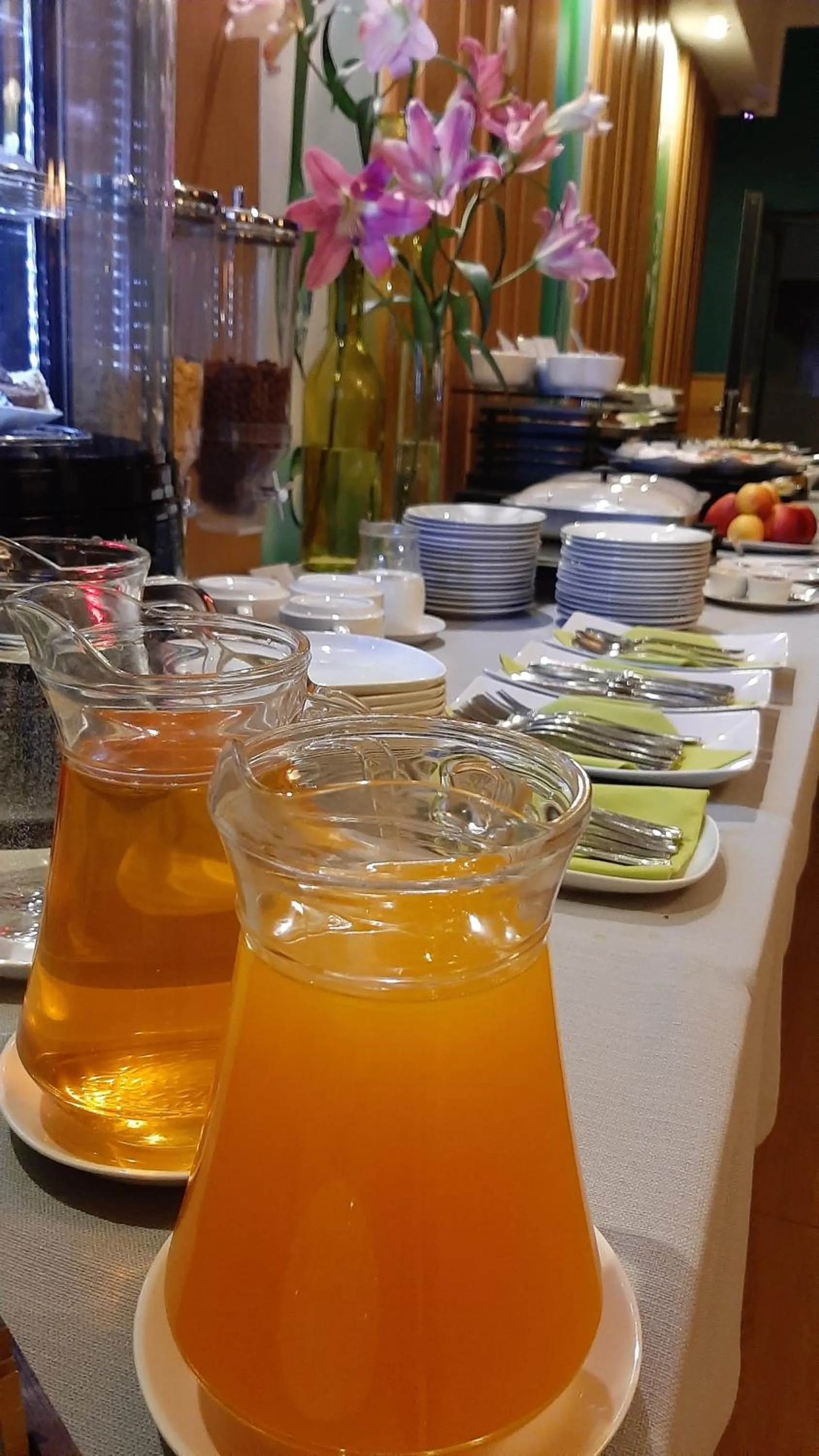 Food and drinks in Hotel Active