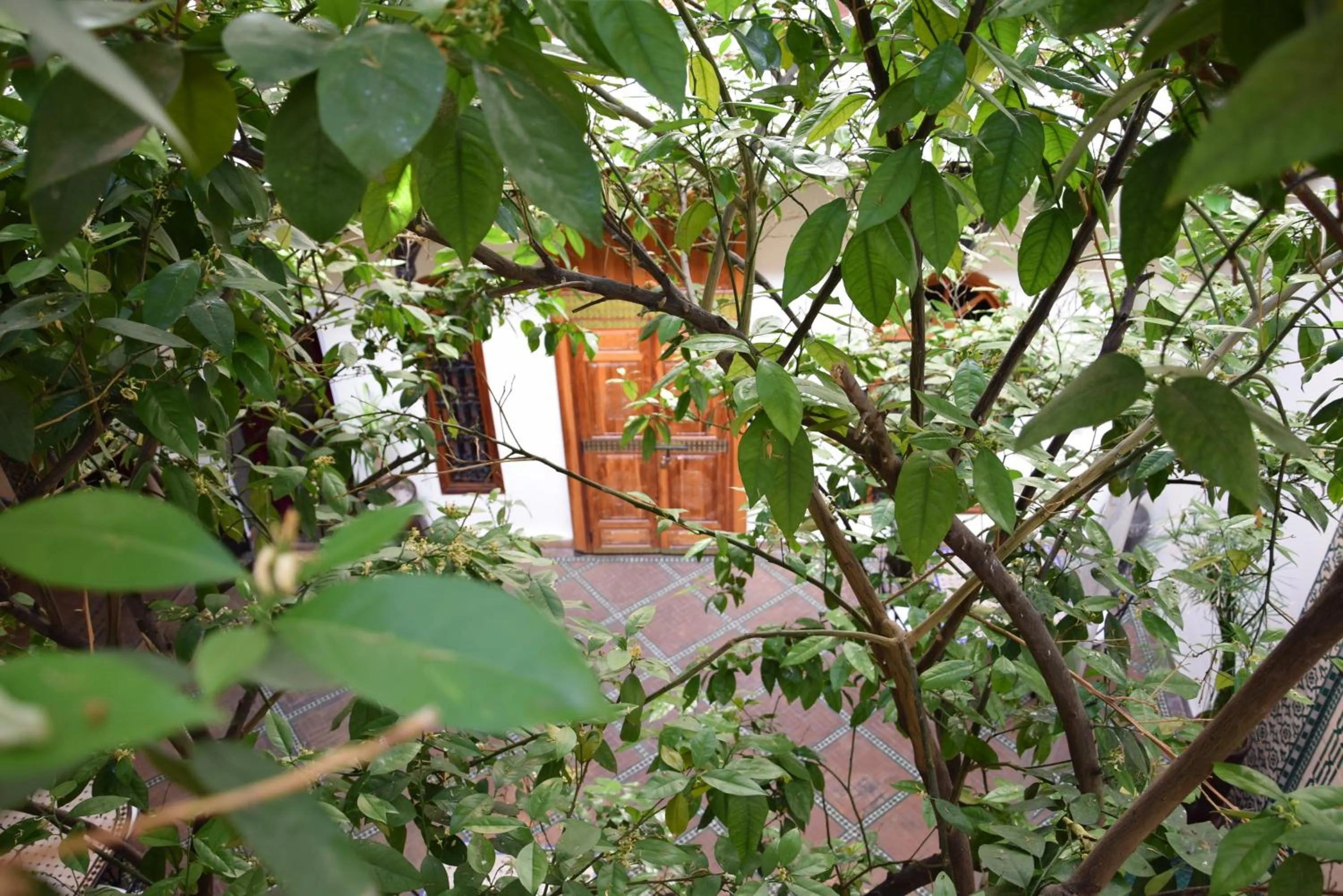 Facade/entrance in Riad Granvilier
