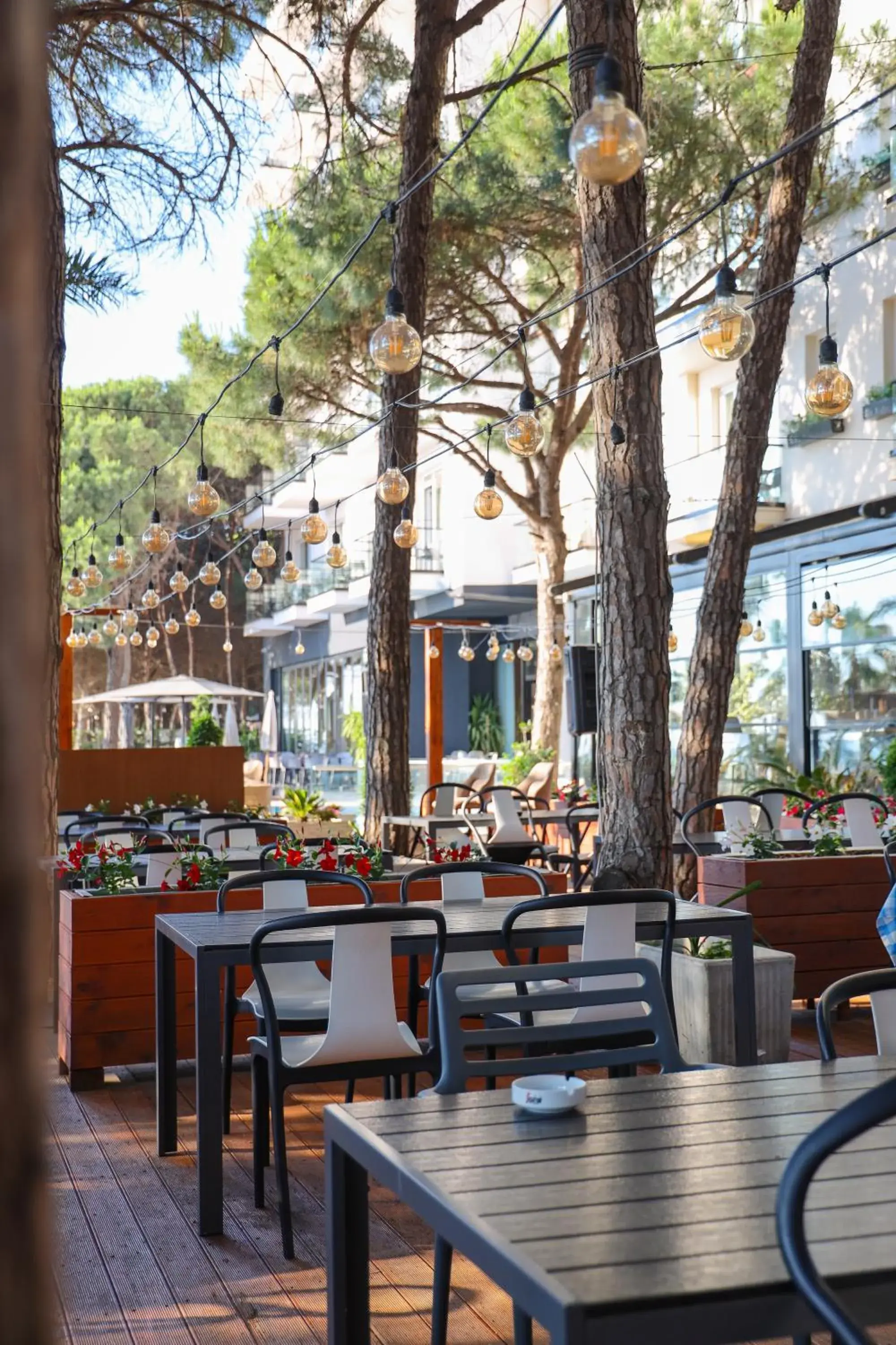 Restaurant/places to eat in VM Resort & SPA Restaurant/places to eat in VM Resort & SPA