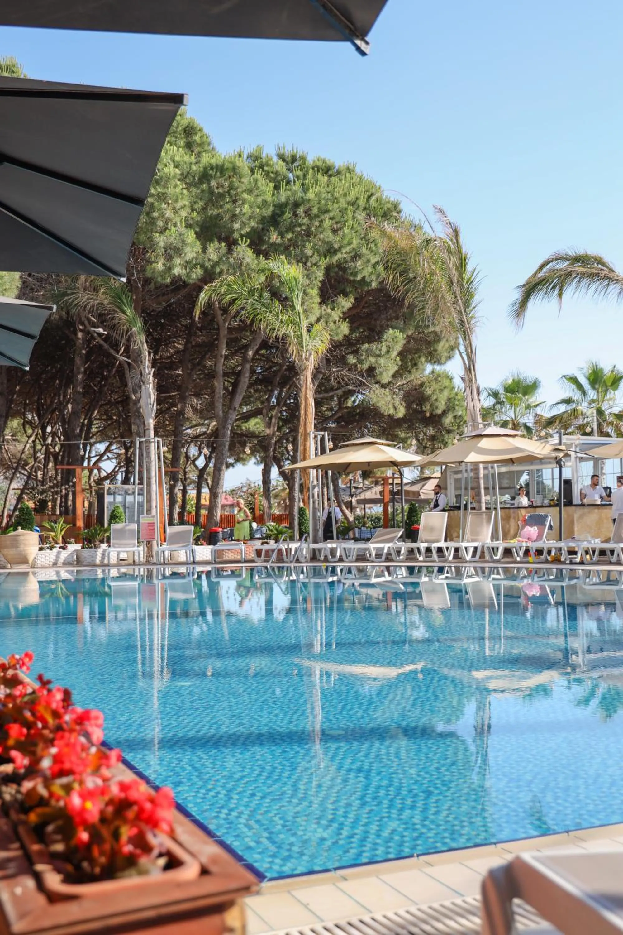 Day in VM Resort & SPA