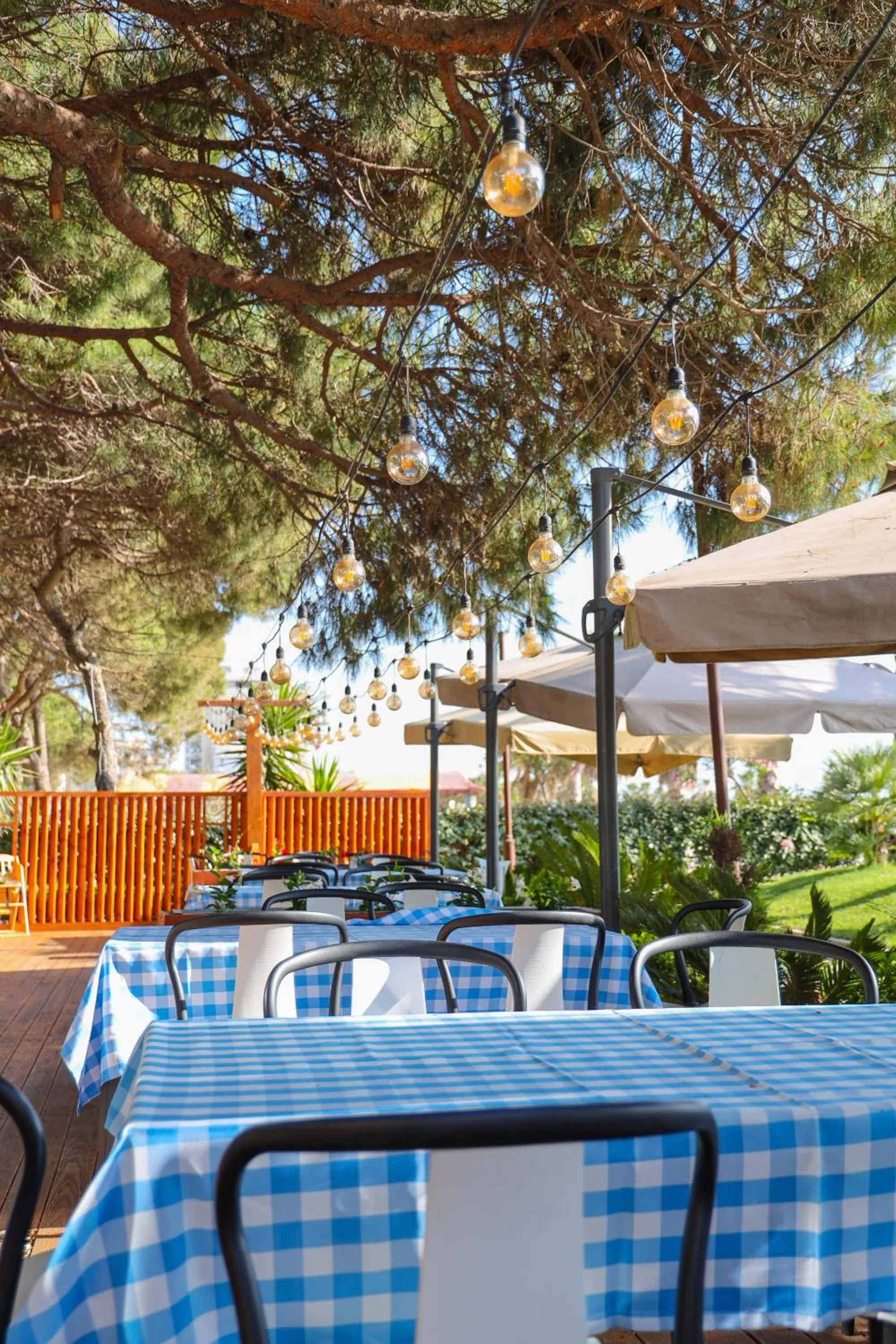 Day in VM Resort & SPA