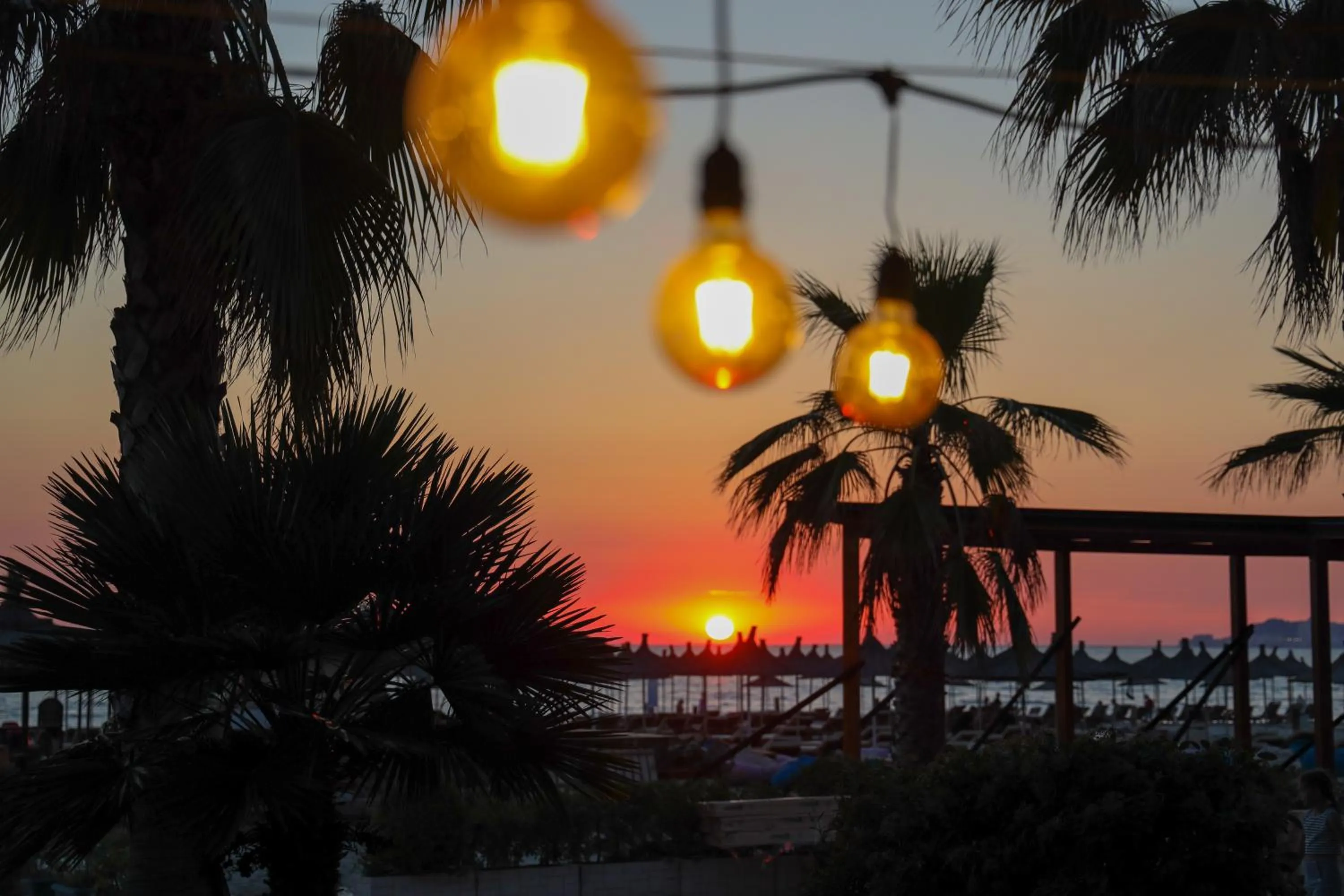 Day in VM Resort & SPA