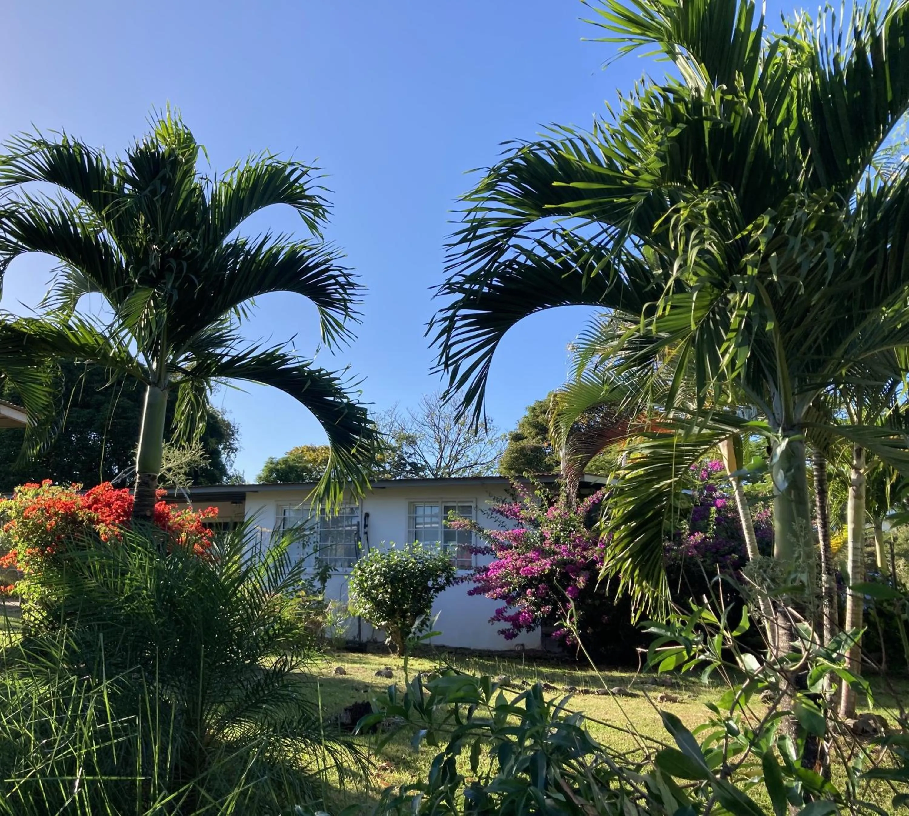 Garden in La Maracuya Panama