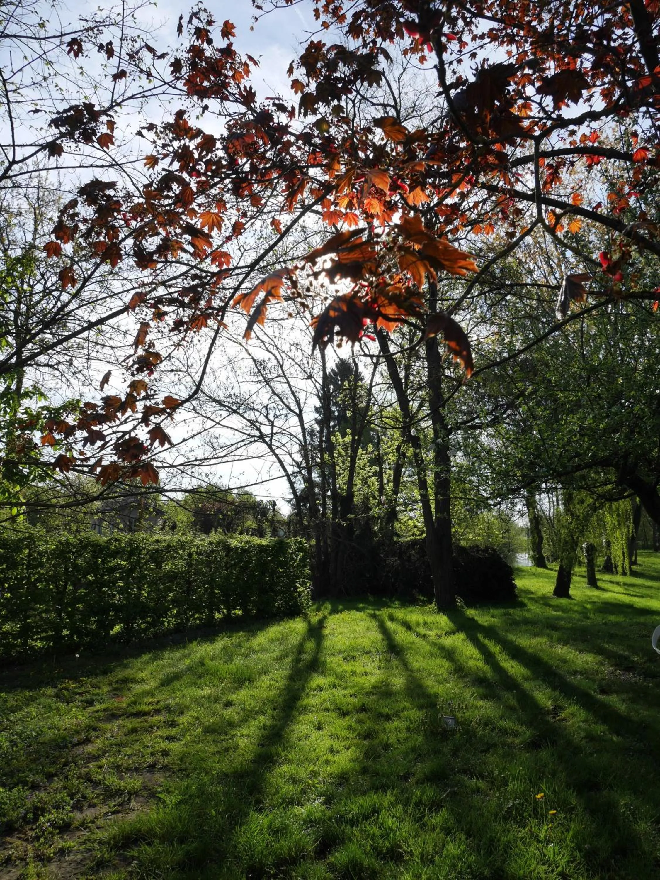 Garden in Le Jardin de la Reyssouze