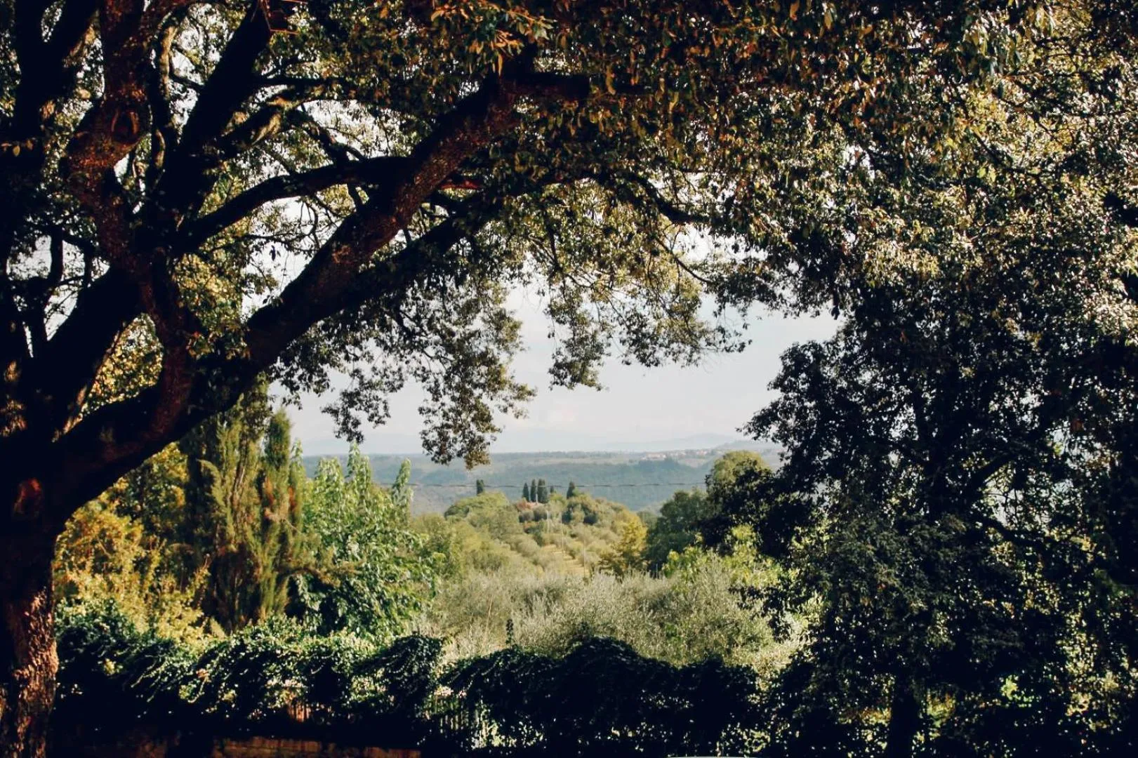 Garden view in Villa Moris bed and breakfast
