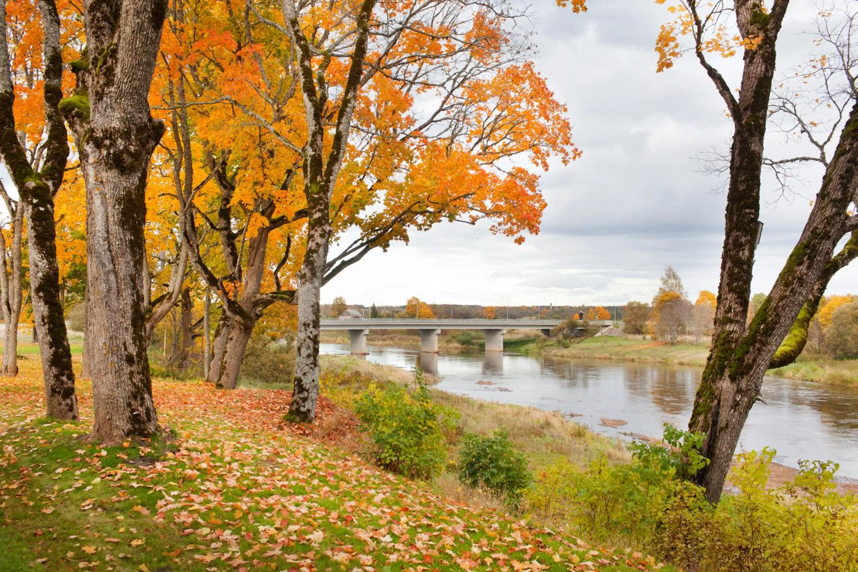 Fishing in Skrunda Manor