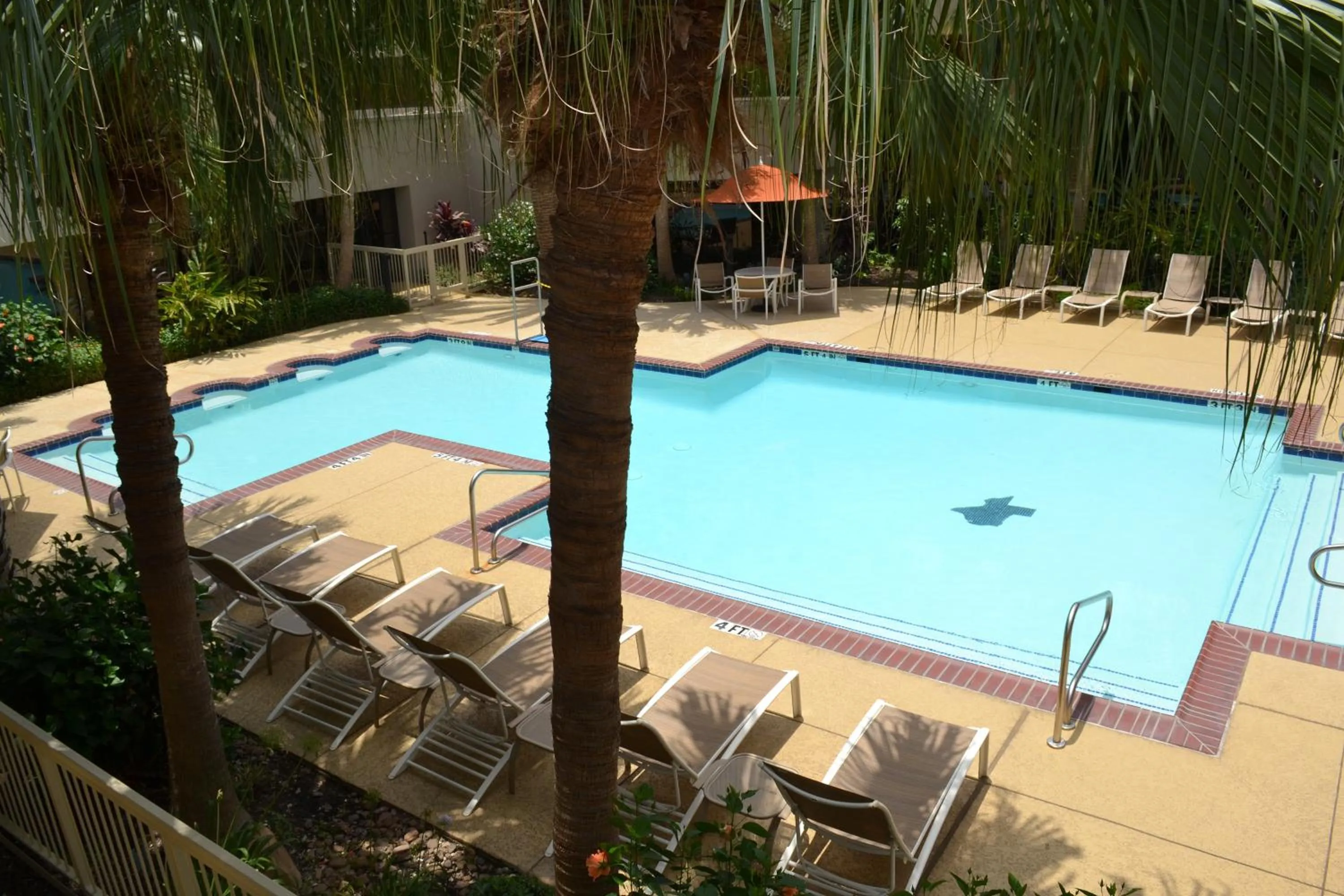 Swimming pool in DoubleTree by Hilton Hotel Houston Hobby Airport