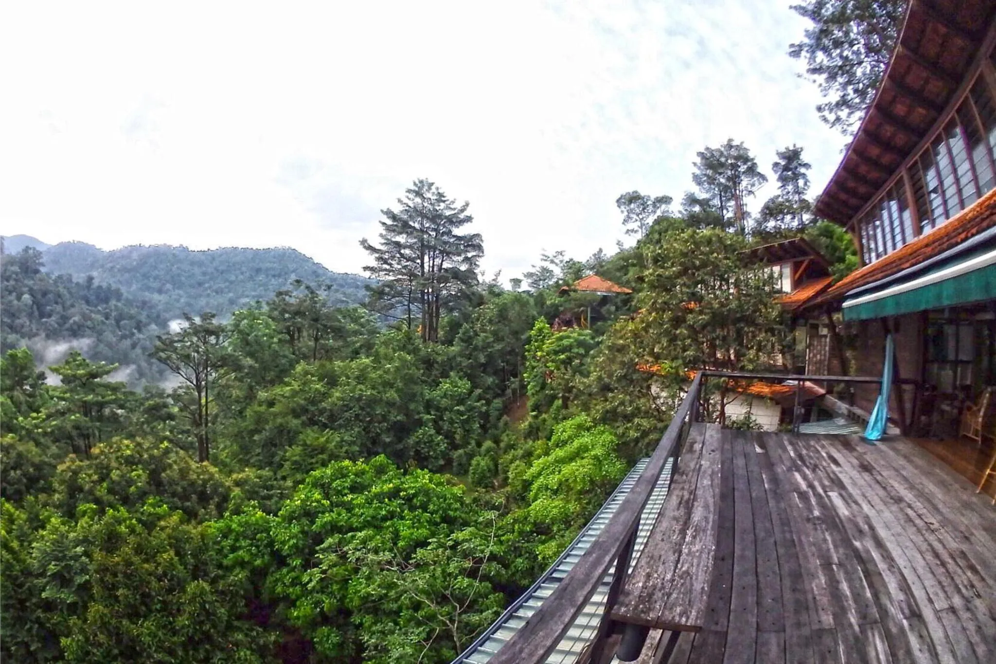 Langit Rimba Resort