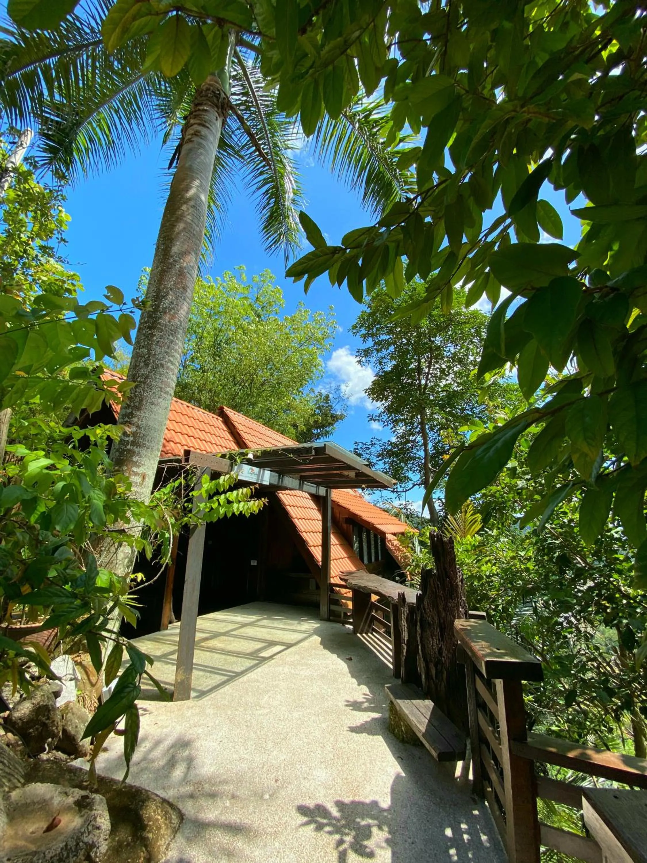 Langit Rimba Resort