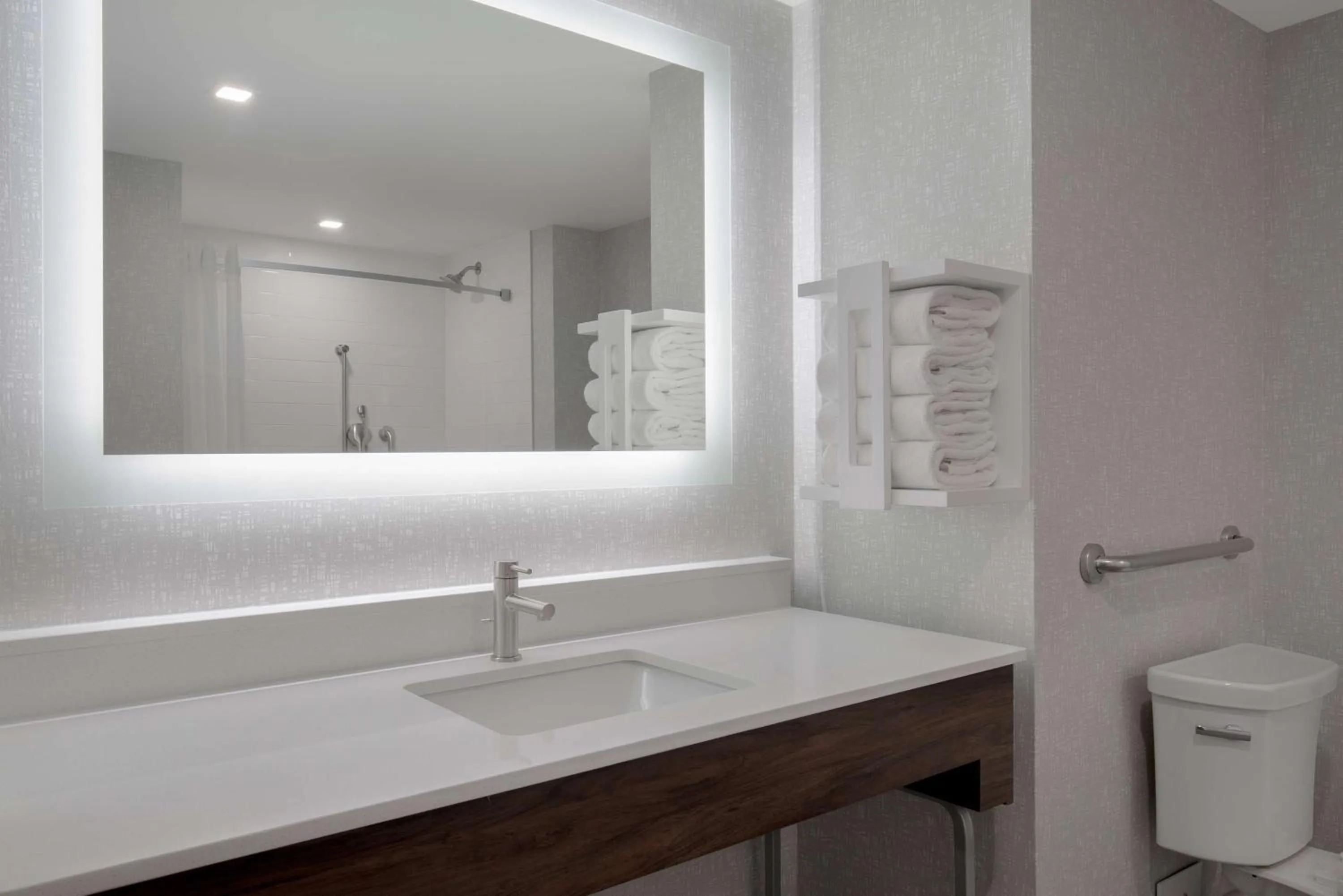 Bathroom in Hampton Inn by Hilton Brampton - Toronto