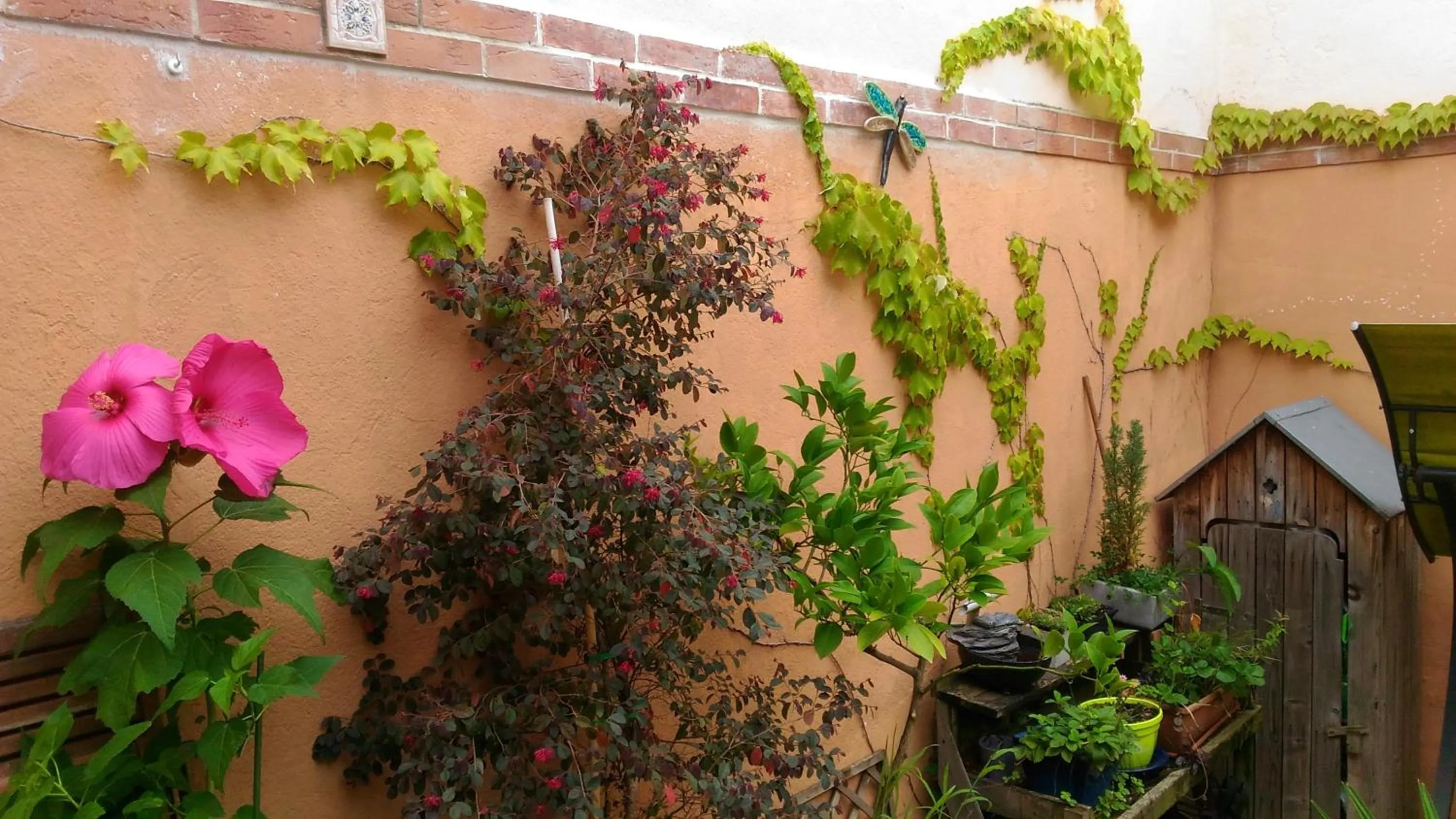 Patio in Autan des Couleurs