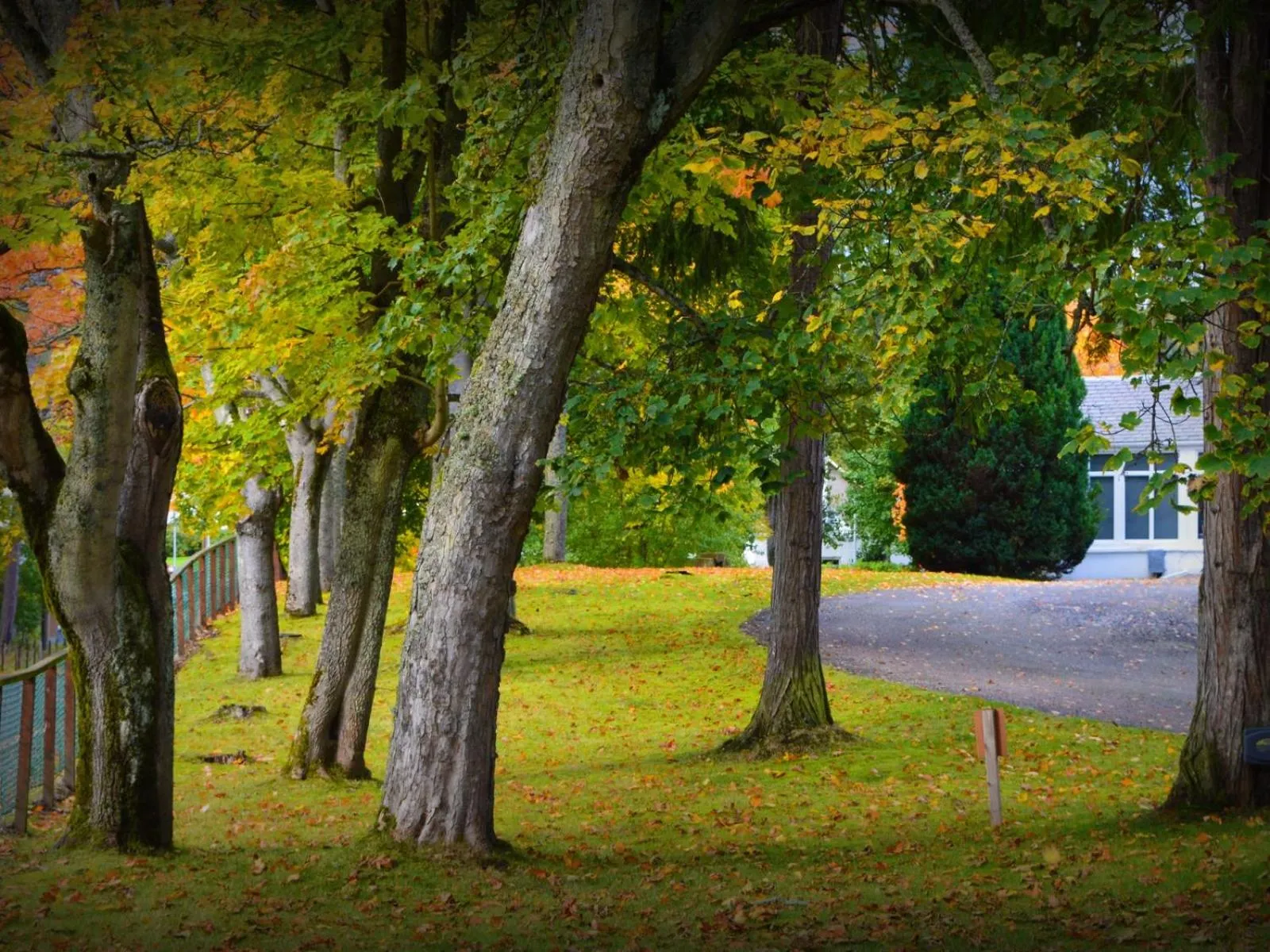 Facade/entrance in The Speyside Hotel and Restaurant