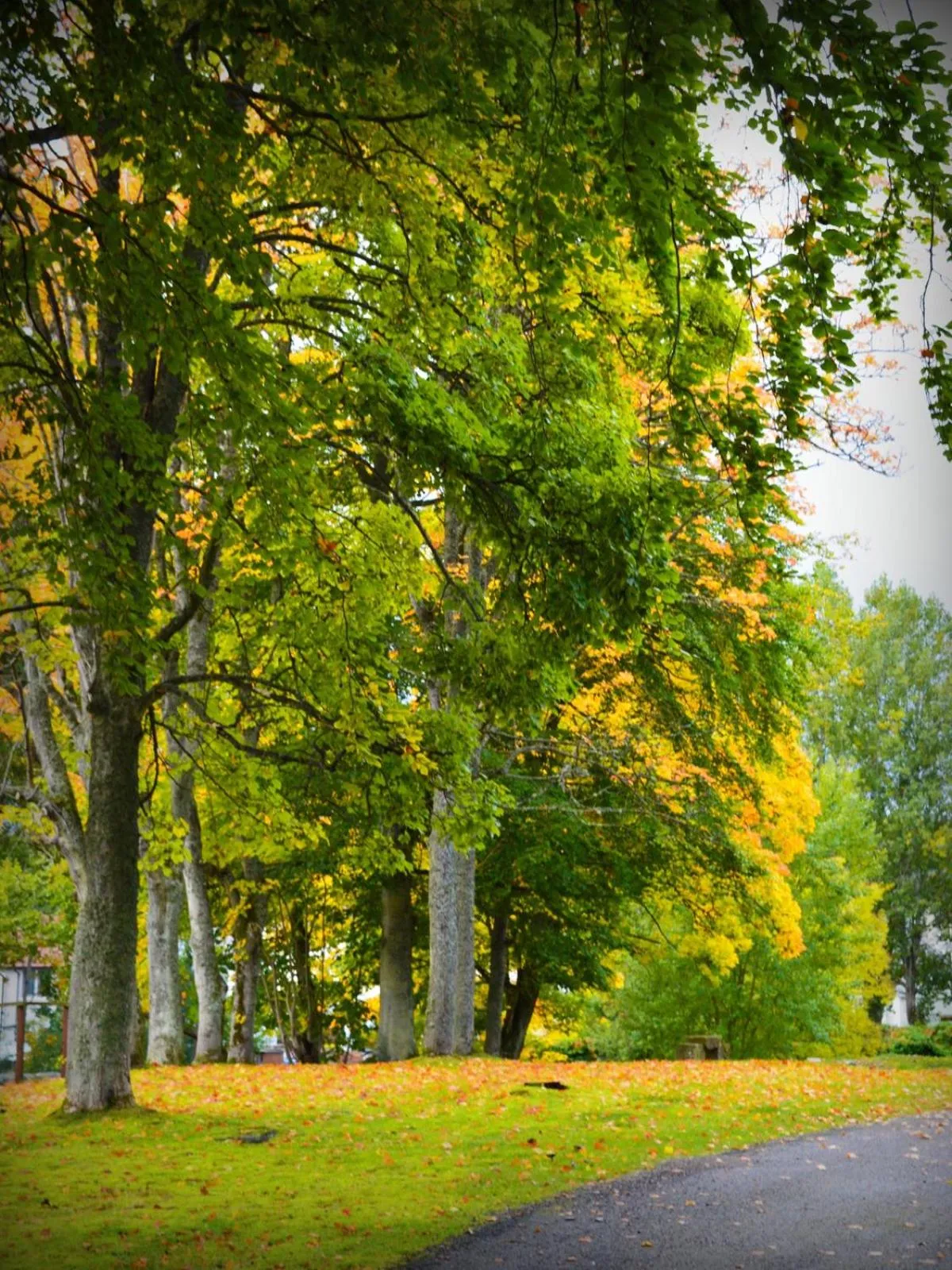Facade/entrance in The Speyside Hotel and Restaurant