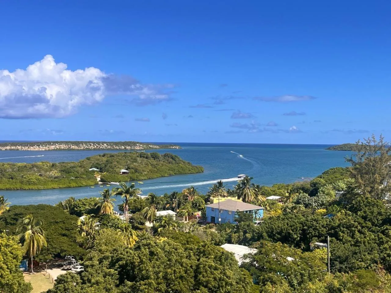 Sea view in Ellen Bay Cottages