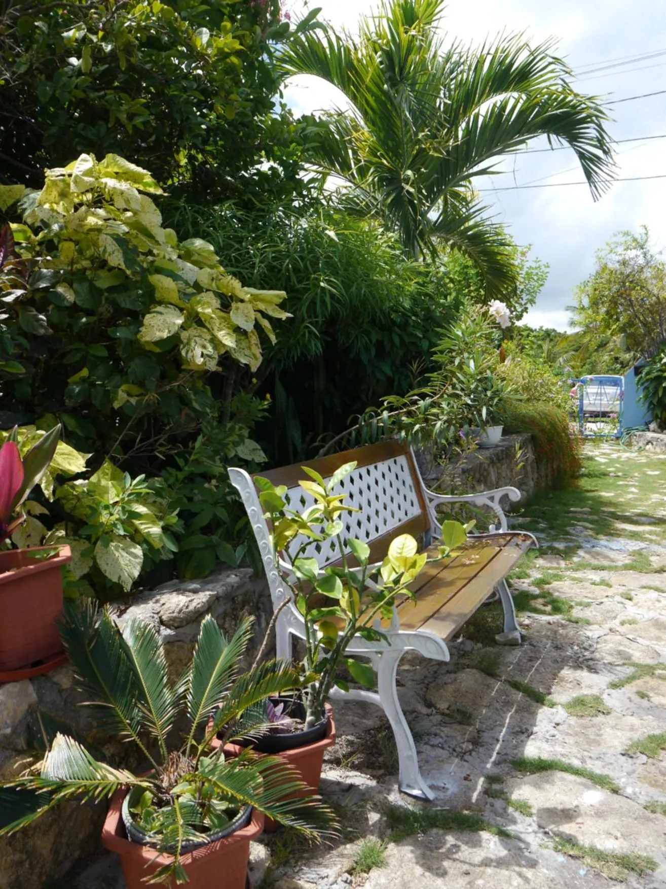 Certificate/Award in Ellen Bay Cottages