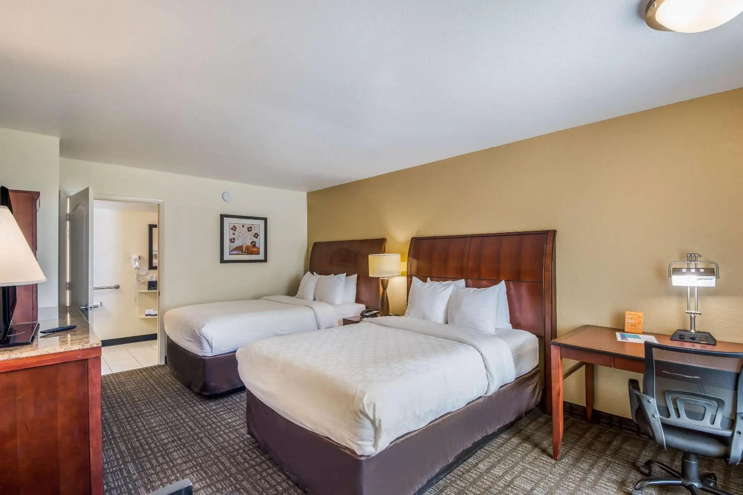 Photo of the whole room, Bed in Clarion Inn & Suites Central Clearwater Beach Photo of the whole room, Bed in Clarion Inn & Suites Central Clearwater Beach