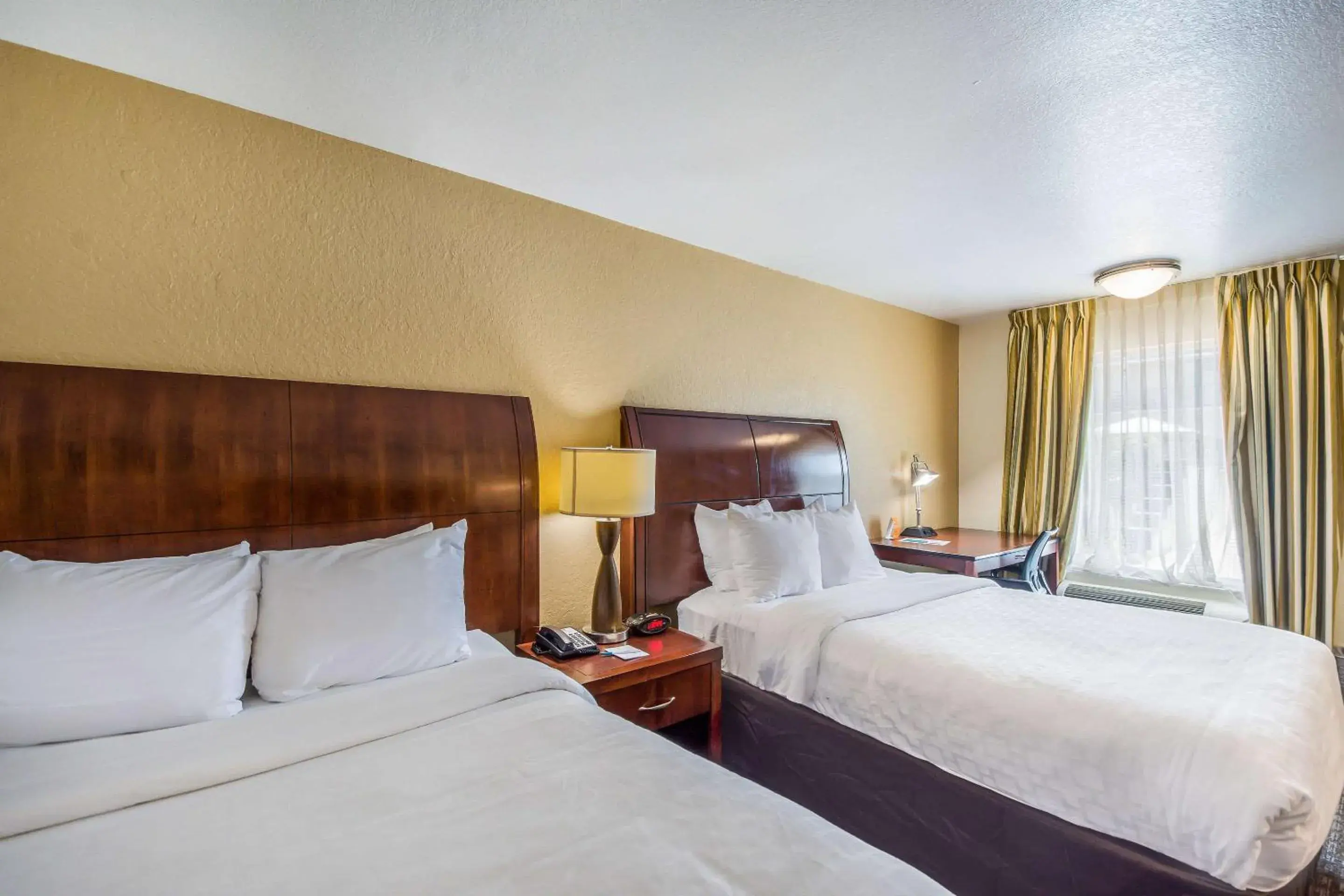 Photo of the whole room, Bed in Clarion Inn & Suites Central Clearwater Beach Photo of the whole room, Bed in Clarion Inn & Suites Central Clearwater Beach