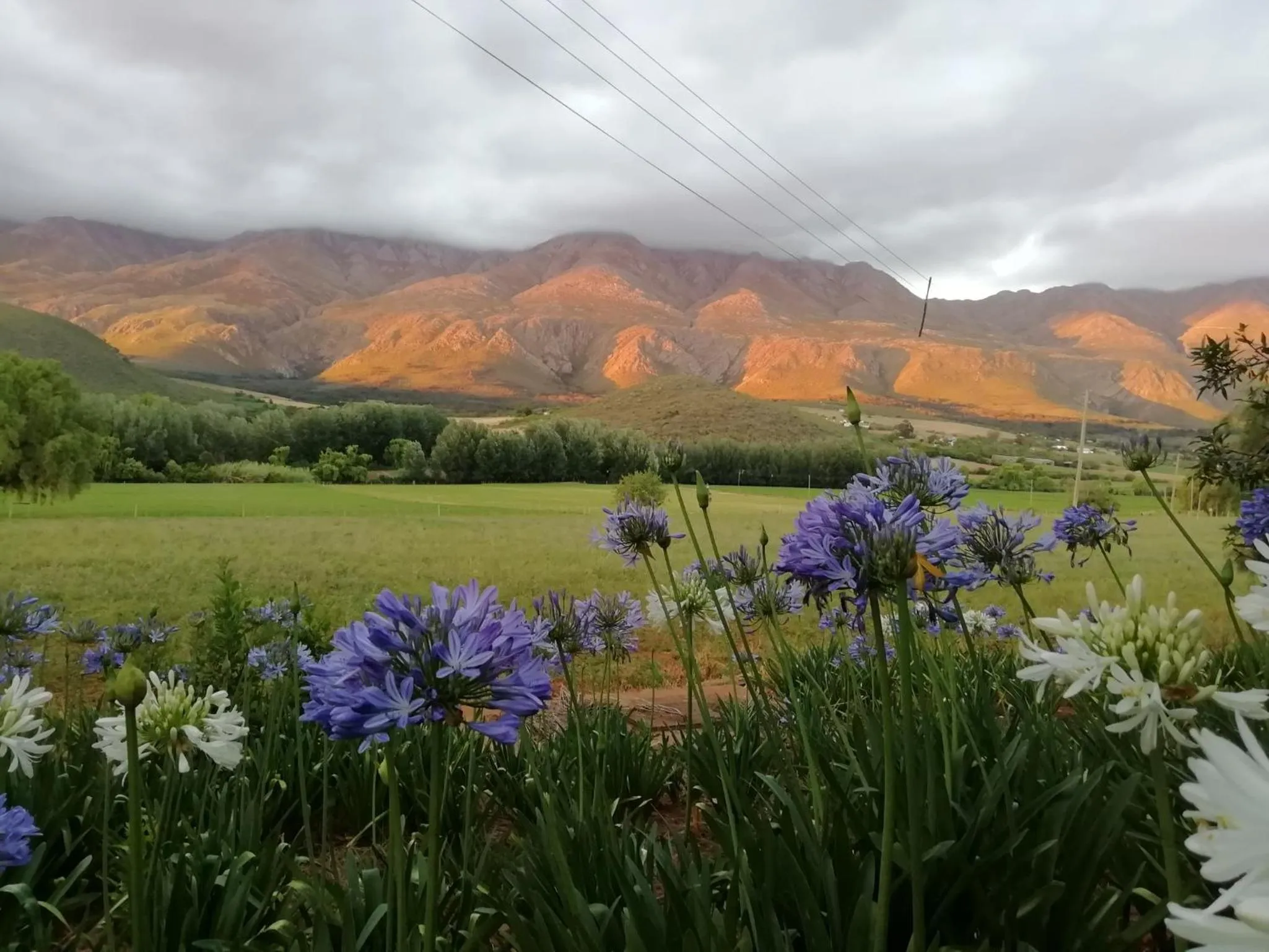 Natural landscape in Blue Lily Retreat
