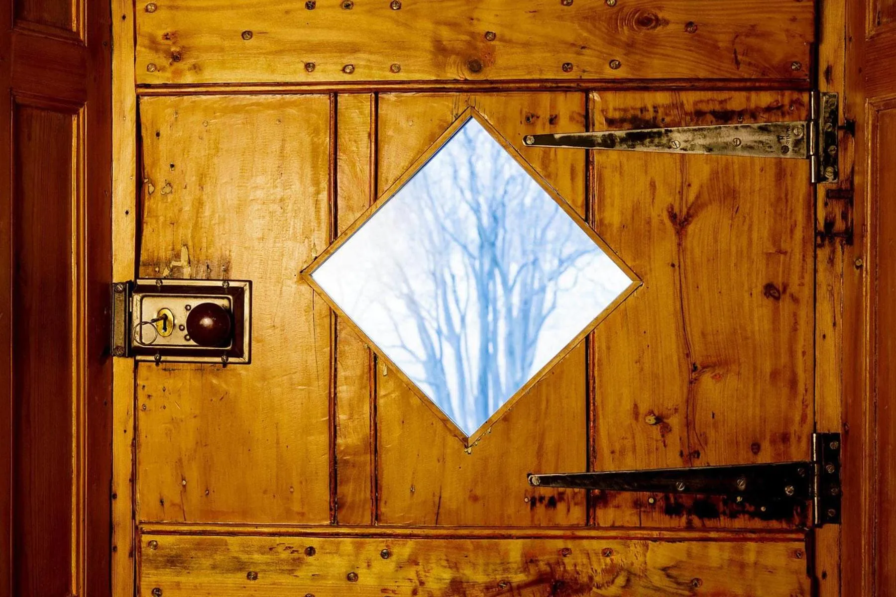 Decorative detail in Blue Lily Retreat