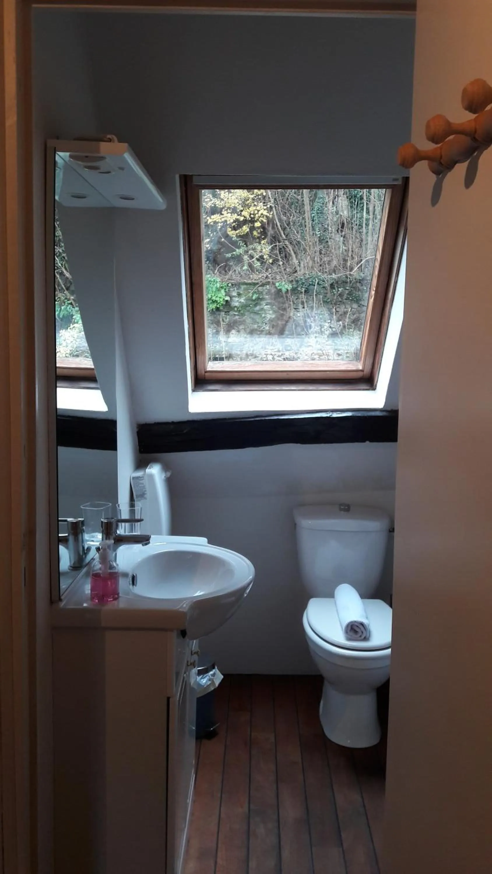 Toilet in Le Poisson Ivre