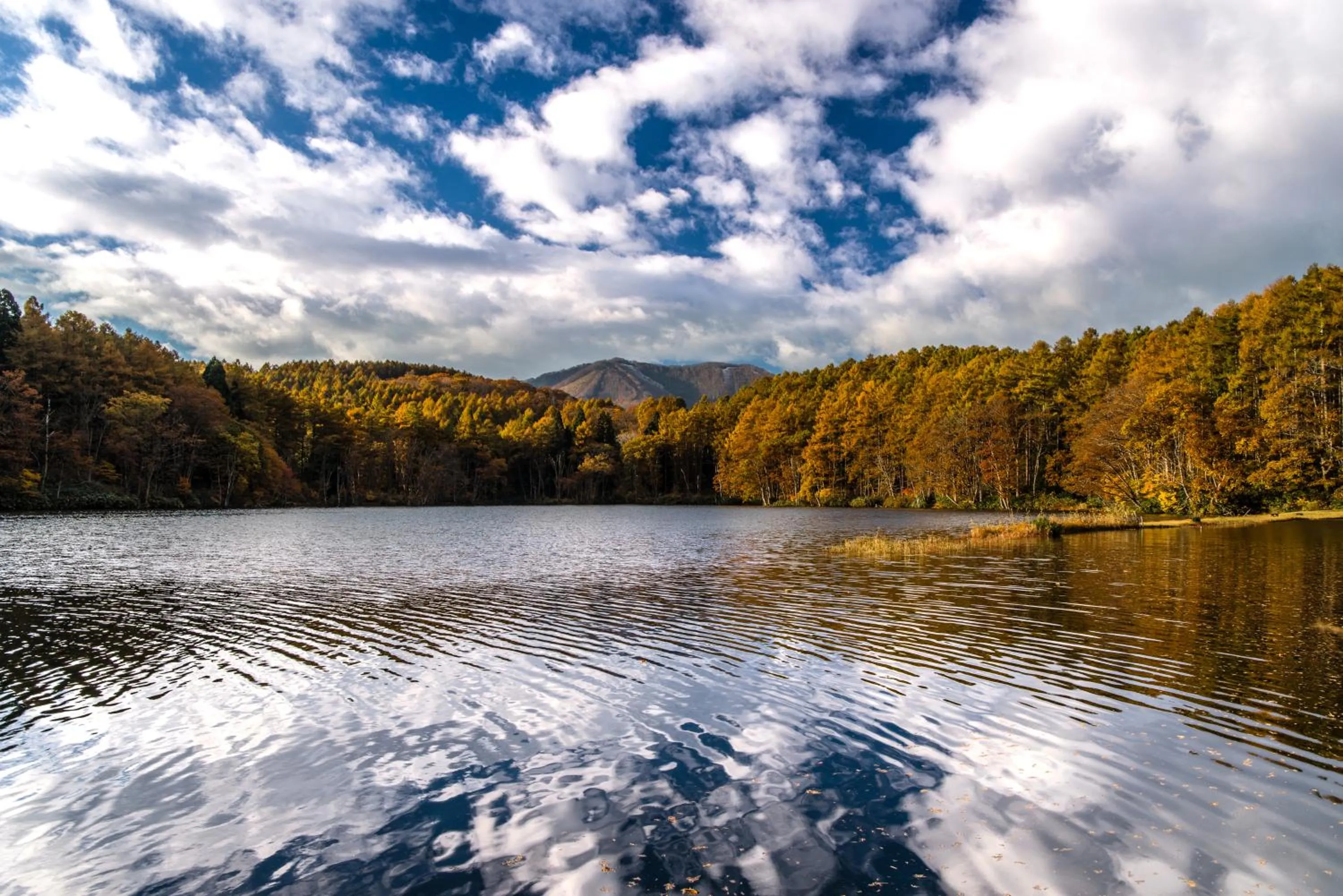 Nearby landmark in Lodge Oakland