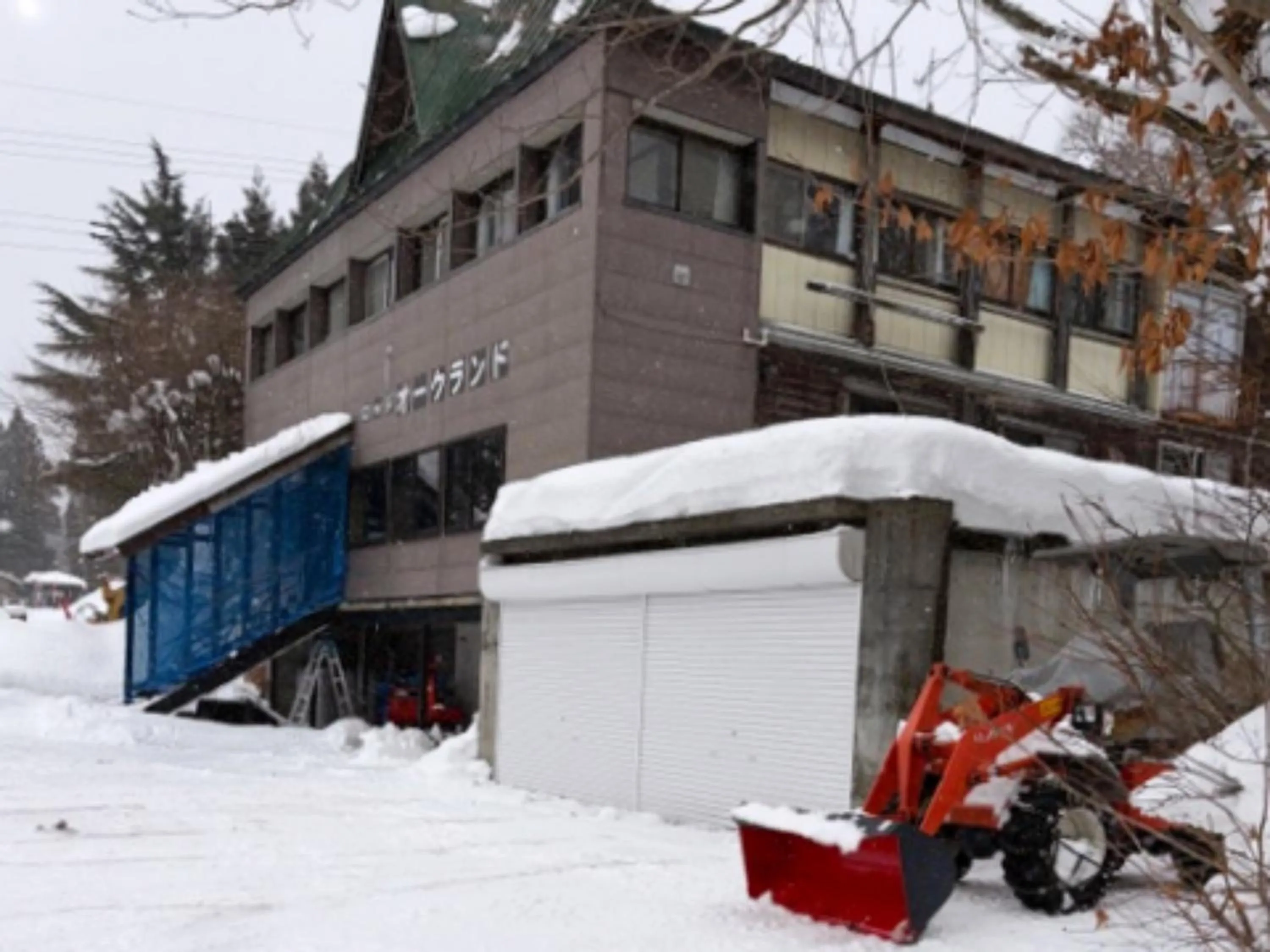 Property building in Lodge Oakland